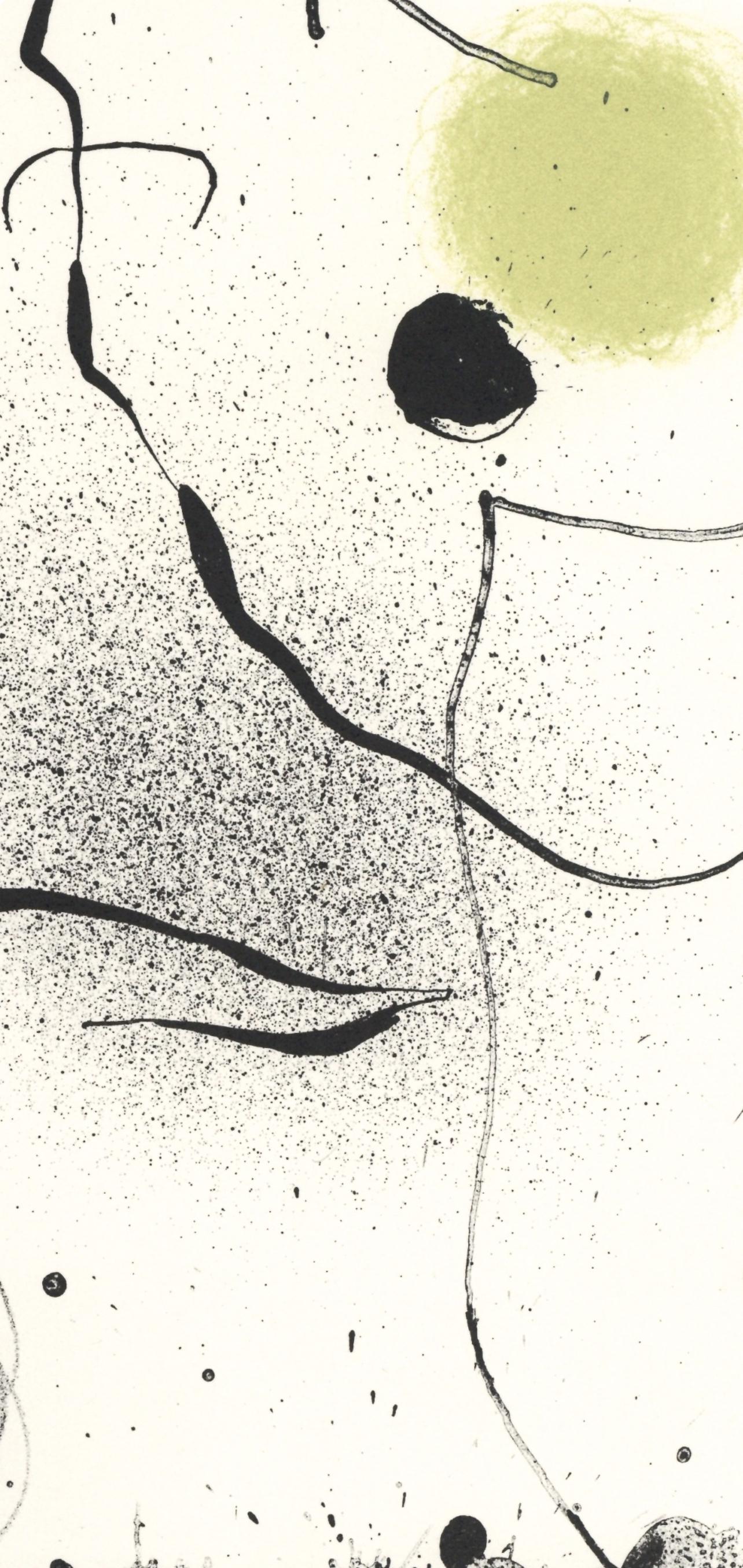 Joan Miró, Composition, XXe siècle, Limited Edition Lithograph