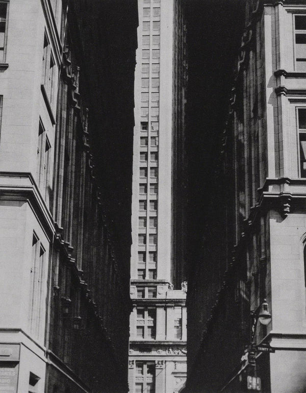 Erwin Blumenfeld, Composition, Erwin Blumenfeld, Electa Editrice Portfolios, Limited Edition Héliogravure