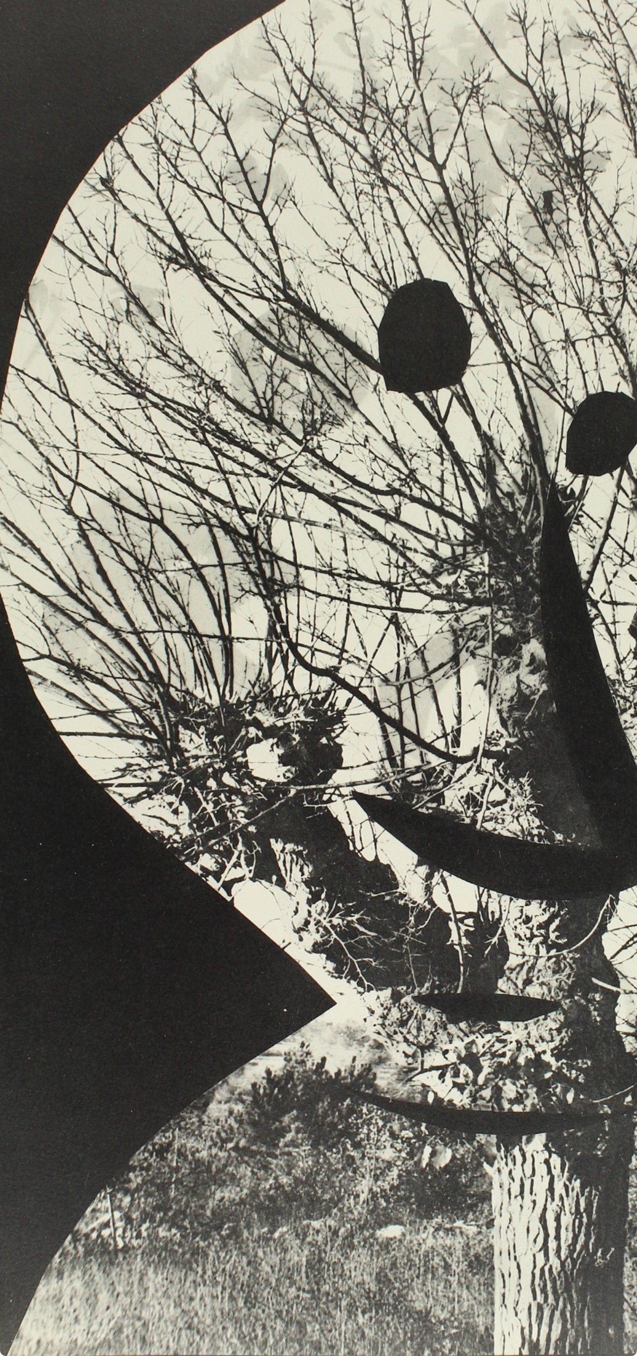 Pablo Picasso, Composition (Bloch 112; Kibbey 1466; Goeppert 115), Diurnes Découpages et Photographies, Limited Edition Phototype