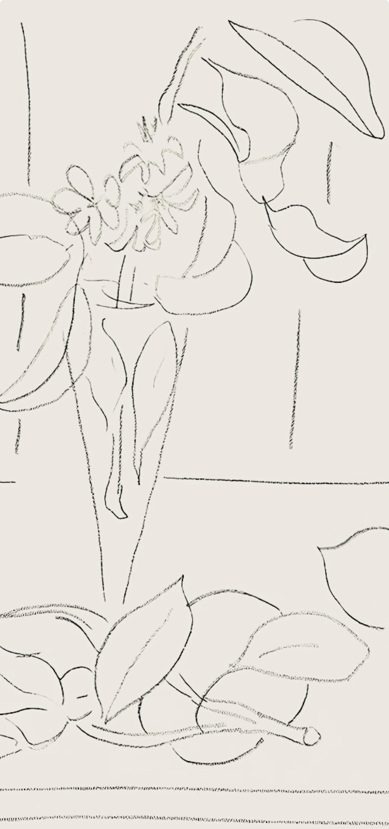 Henri Matisse, Série M, var. 6 (Duthuit 9), Henri Matisse, Dessins, Thèmes et variations, Limited Edition Lithograph