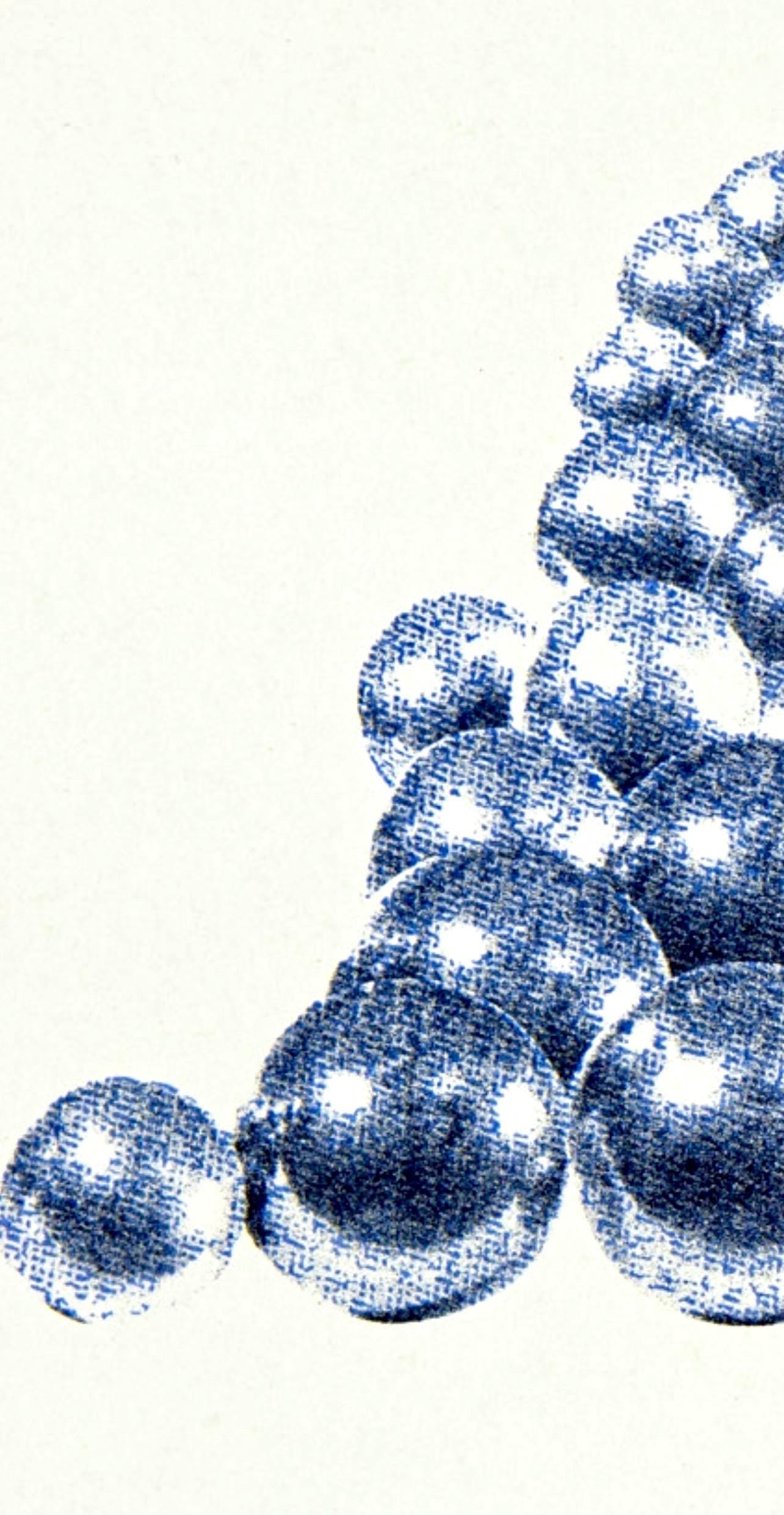 Pol Bury, Cinétisation, Derrière le miroir, Limited Edition Lithograph