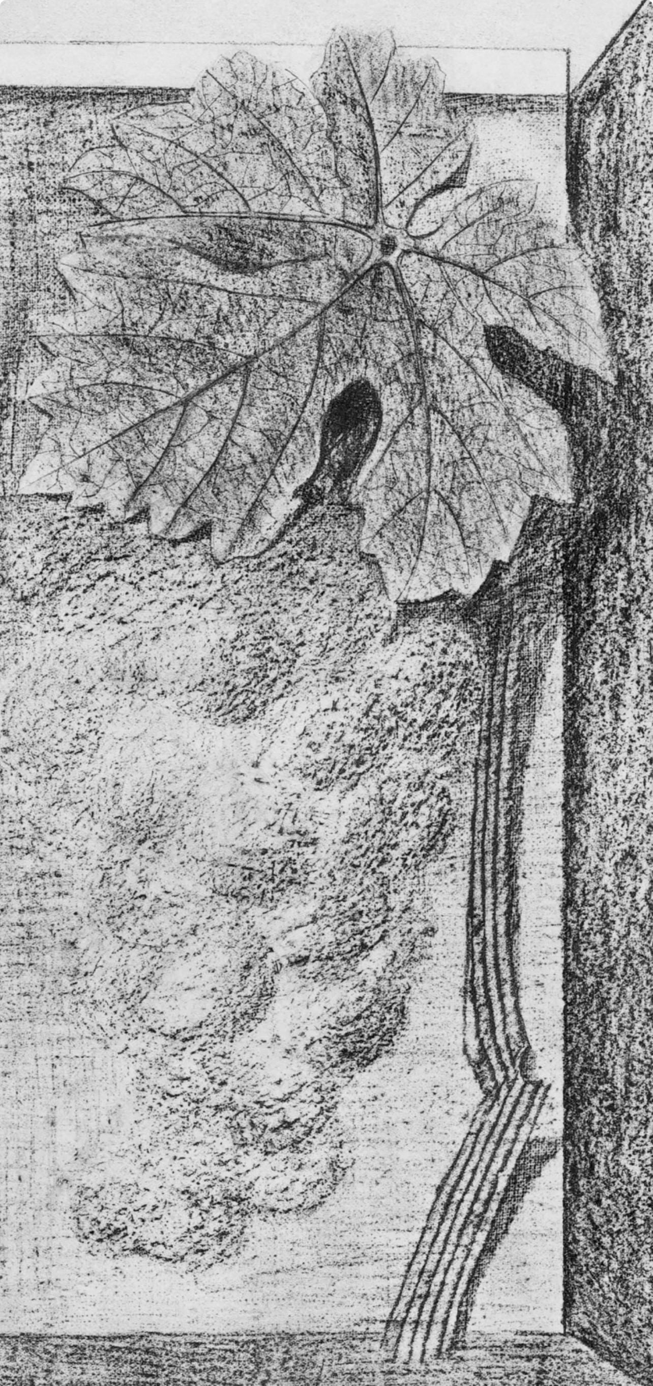 Max Ernst, Composition (Spies/Leppien 222), Histoire Naturelle, Limited Edition Lithograph