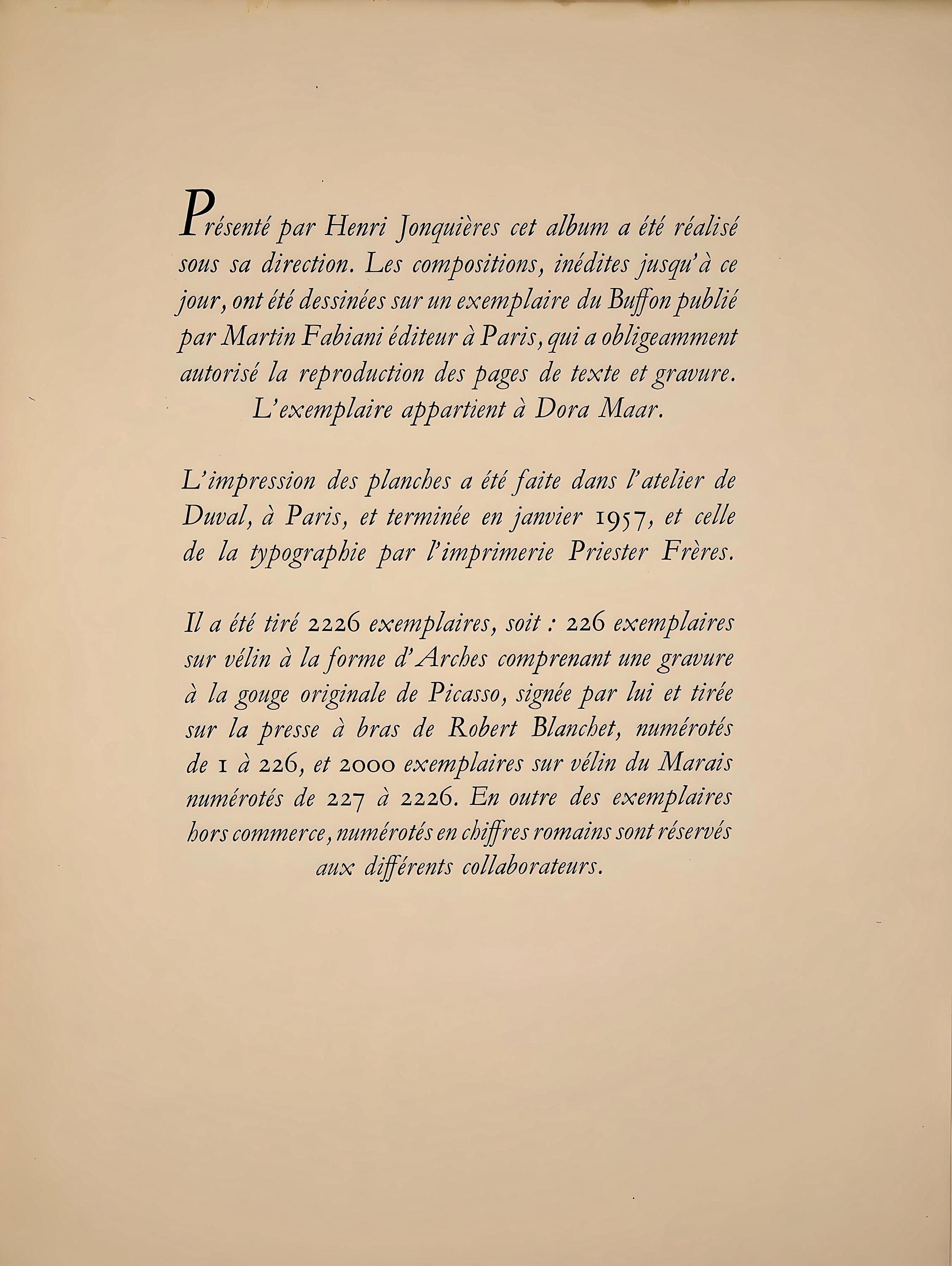 Pablo Picasso, Visage d'homme, profil gauche (Cramer No. 84), 40 dessins de Picasso en marge du Buffon, Limited Edition Lithograph
