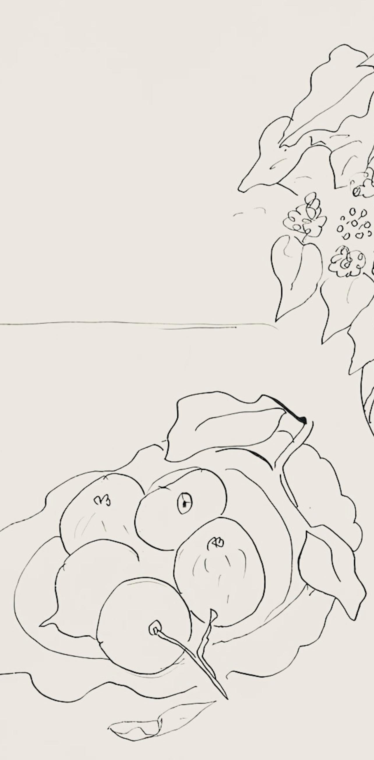 Henri Matisse, Série S.A, var. 1 (Duthuit 9), Henri Matisse, Dessins, Thèmes et variations, Limited Edition Lithograph