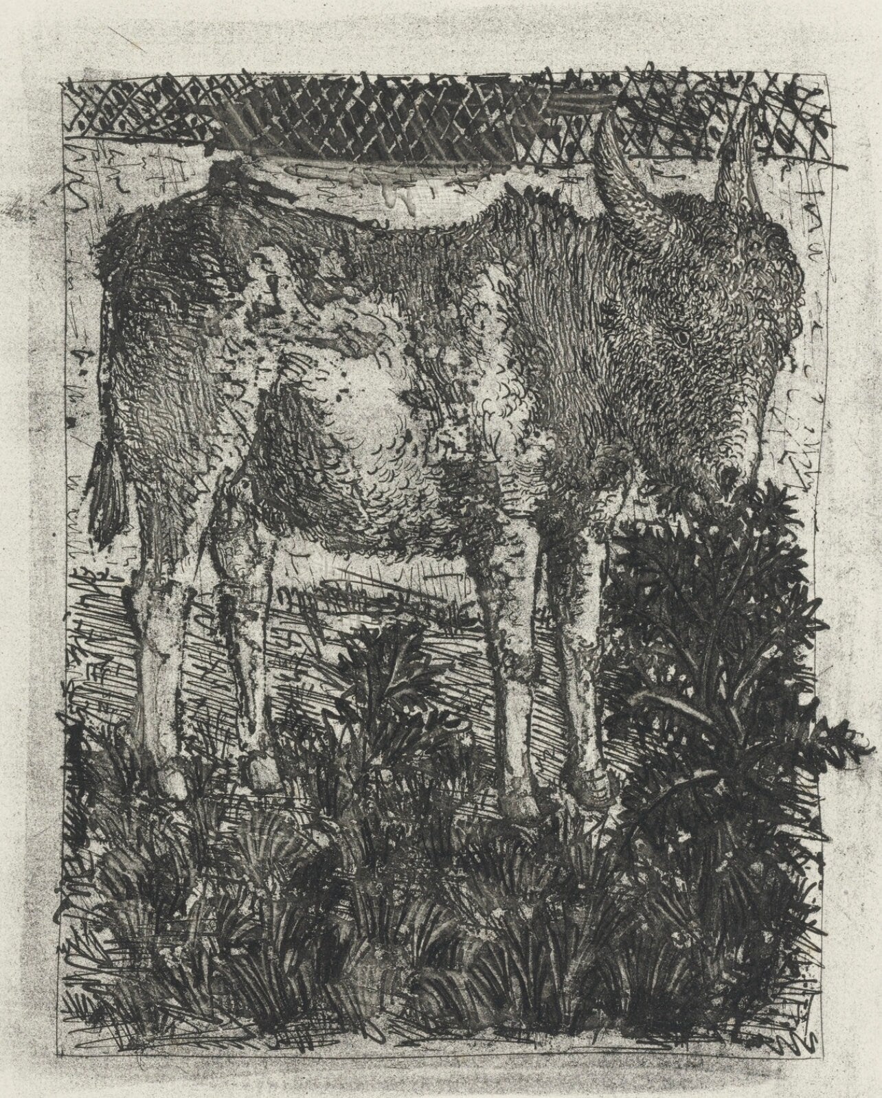 Pablo Picasso, L'Âne, Histoire naturelle, Limited Edition Lithograph