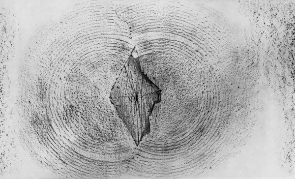 Max Ernst, Composition (Spies/Leppien 222), Histoire Naturelle, Limited Edition Lithograph