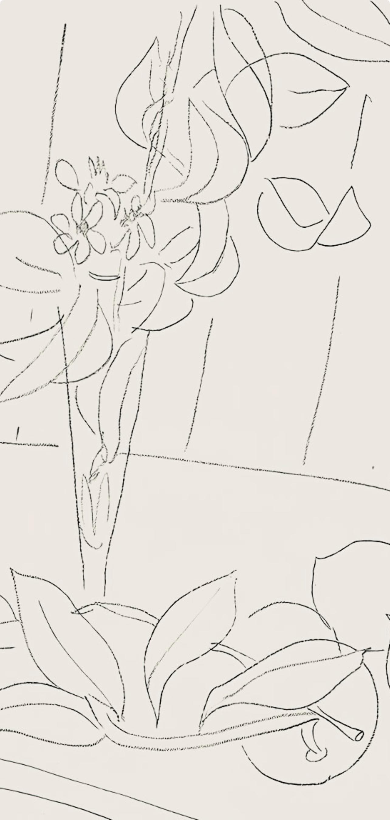 Henri Matisse, Série M, var. 5 (Duthuit 9), Henri Matisse, Dessins, Thèmes et variations, Limited Edition Lithograph