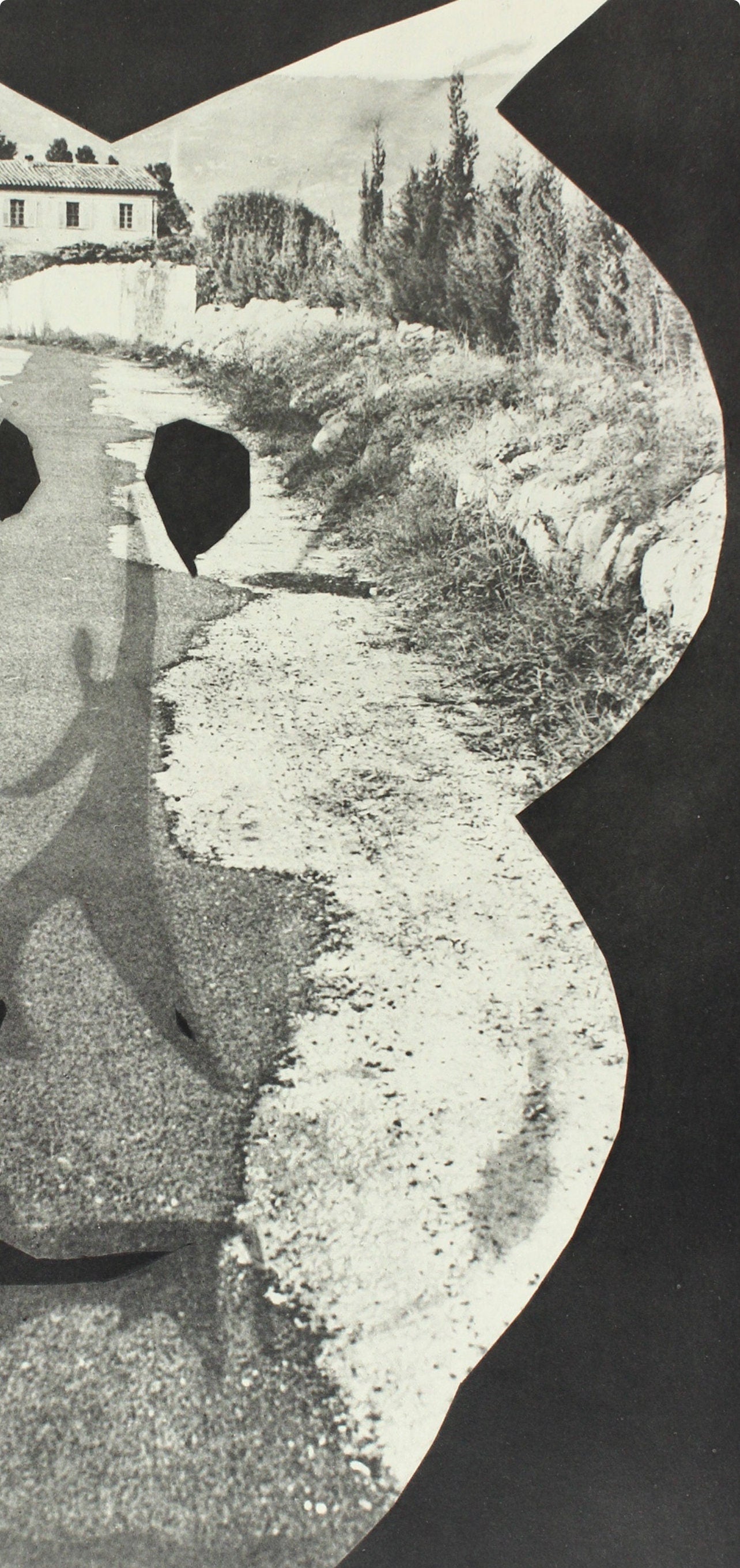 Pablo Picasso, Composition (Bloch 112; Kibbey 1466; Goeppert 115), Diurnes Découpages et Photographies, Limited Edition Phototype