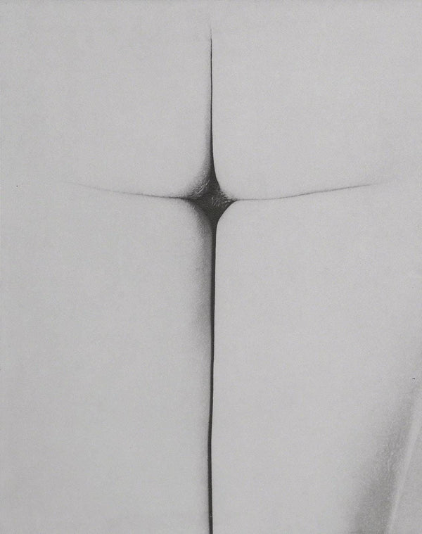Erwin Blumenfeld, Composition, Erwin Blumenfeld, Electa Editrice Portfolios, Limited Edition Héliogravure
