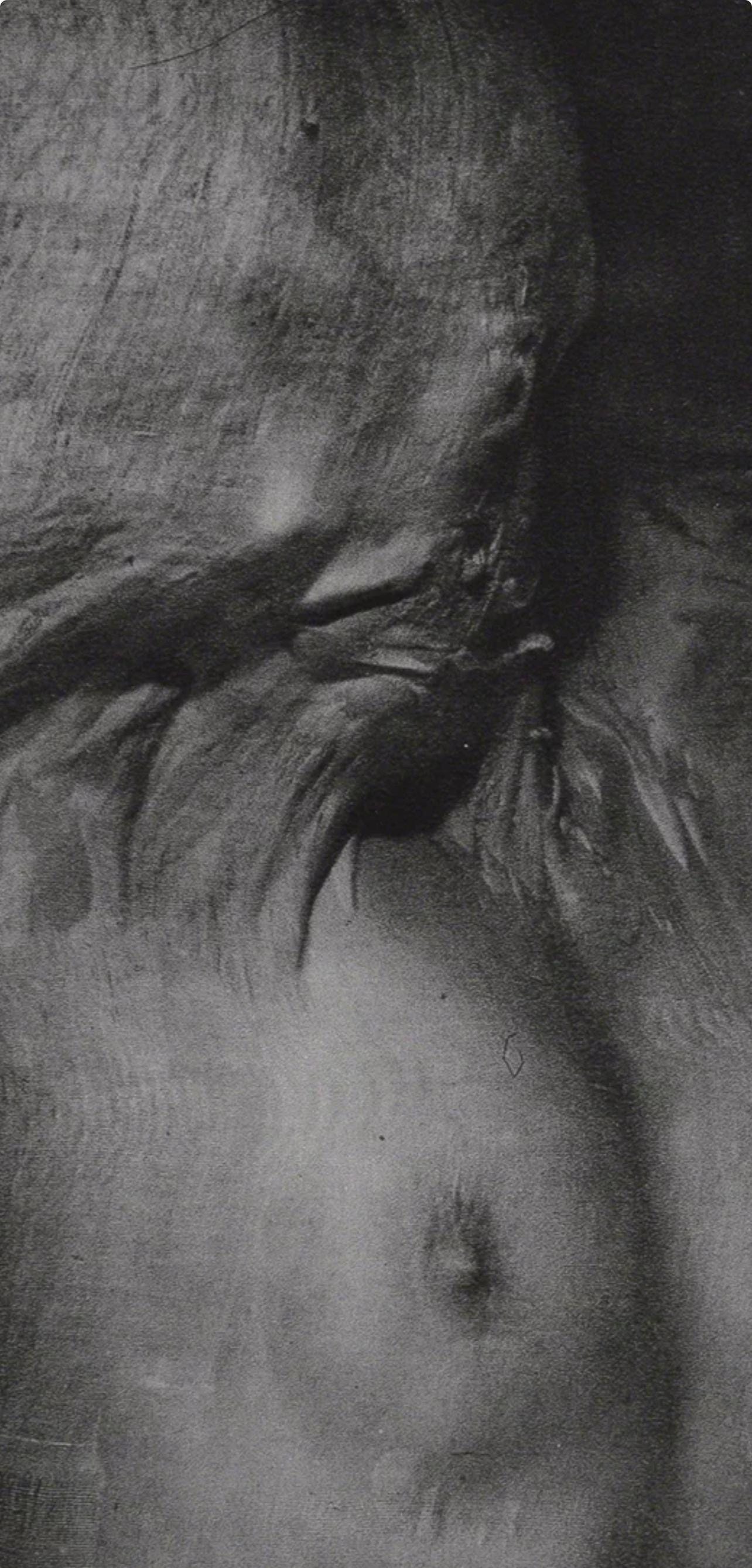 Erwin Blumenfeld, Composition, Erwin Blumenfeld, Electa Editrice Portfolios, Limited Edition Héliogravure