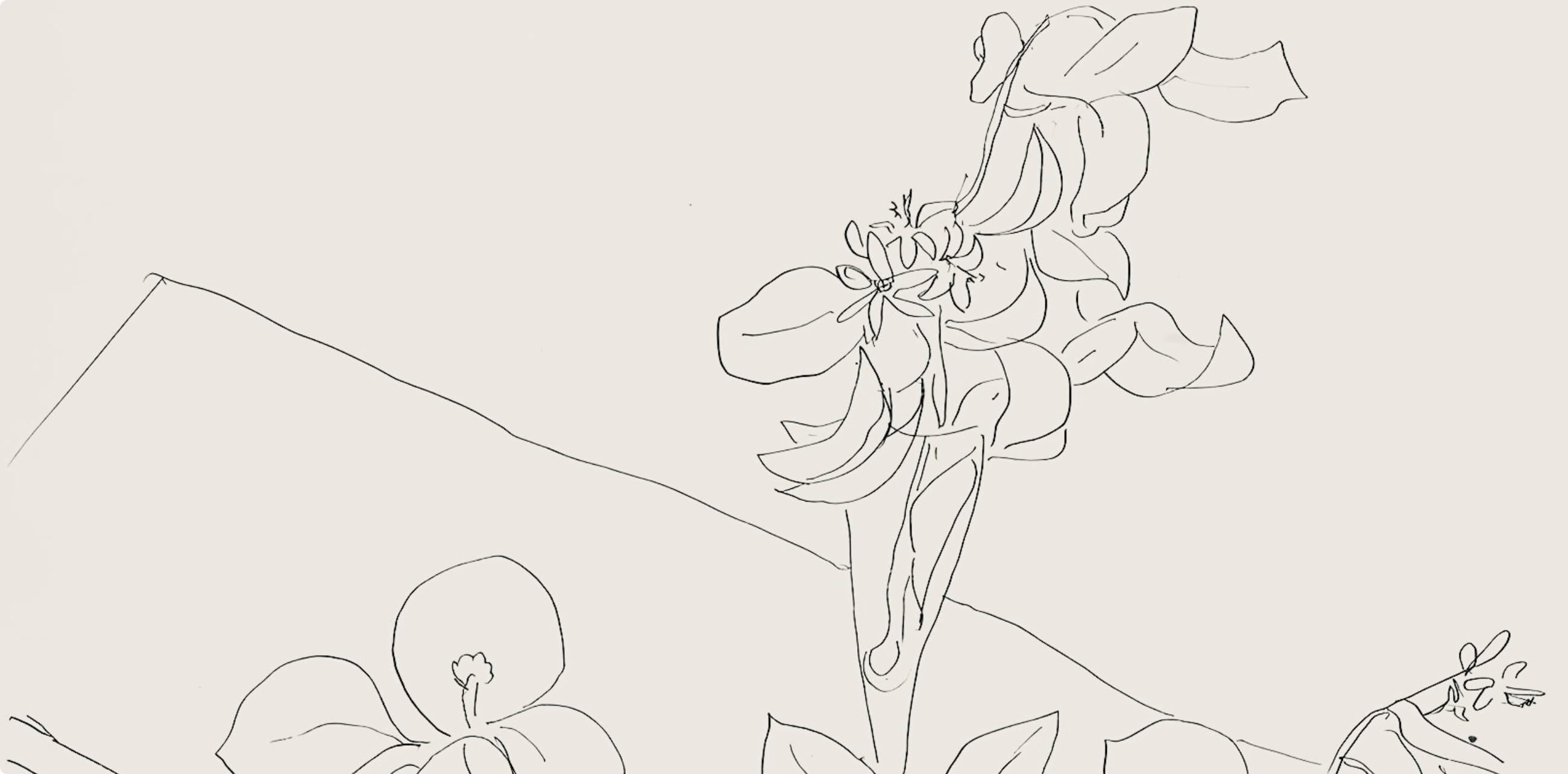 Henri Matisse, Série M, var. 2 (Duthuit 9), Henri Matisse, Dessins, Thèmes et variations, Limited Edition Lithograph