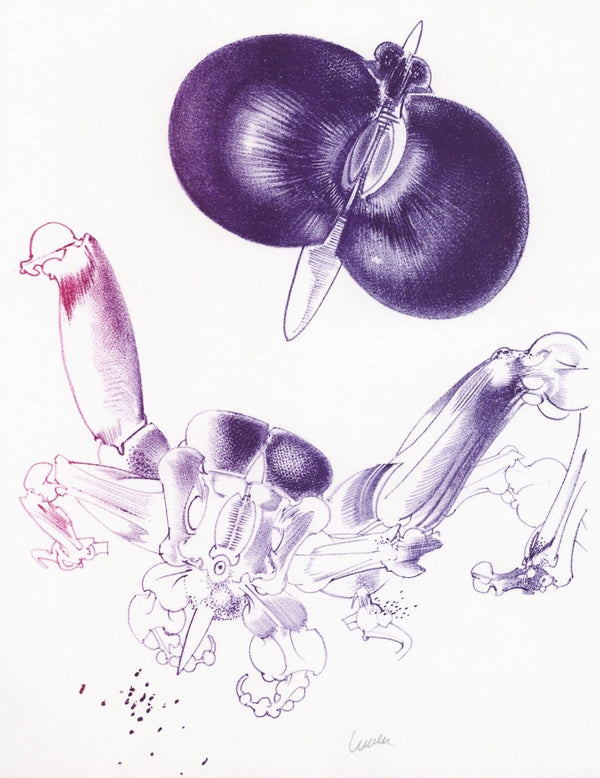 François Lunven, Composition, Variations sur l'imaginaire, Limited Edition Lithograph