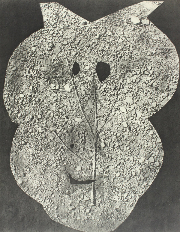 Pablo Picasso, Composition (Bloch 112; Kibbey 1466; Goeppert 115), Diurnes Découpages et Photographies, Limited Edition Phototype