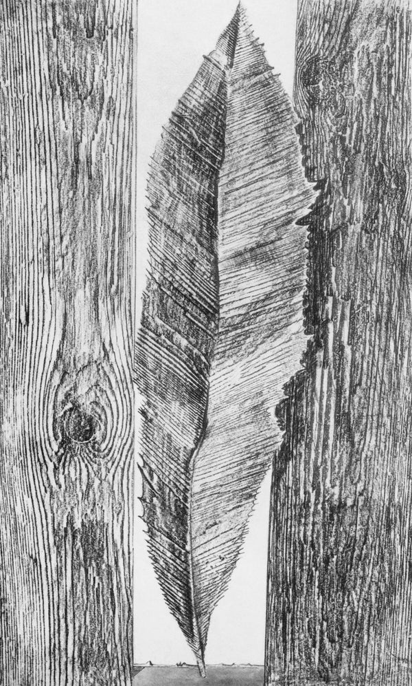 Max Ernst, Composition (Spies/Leppien 222), Histoire Naturelle, Limited Edition Lithograph