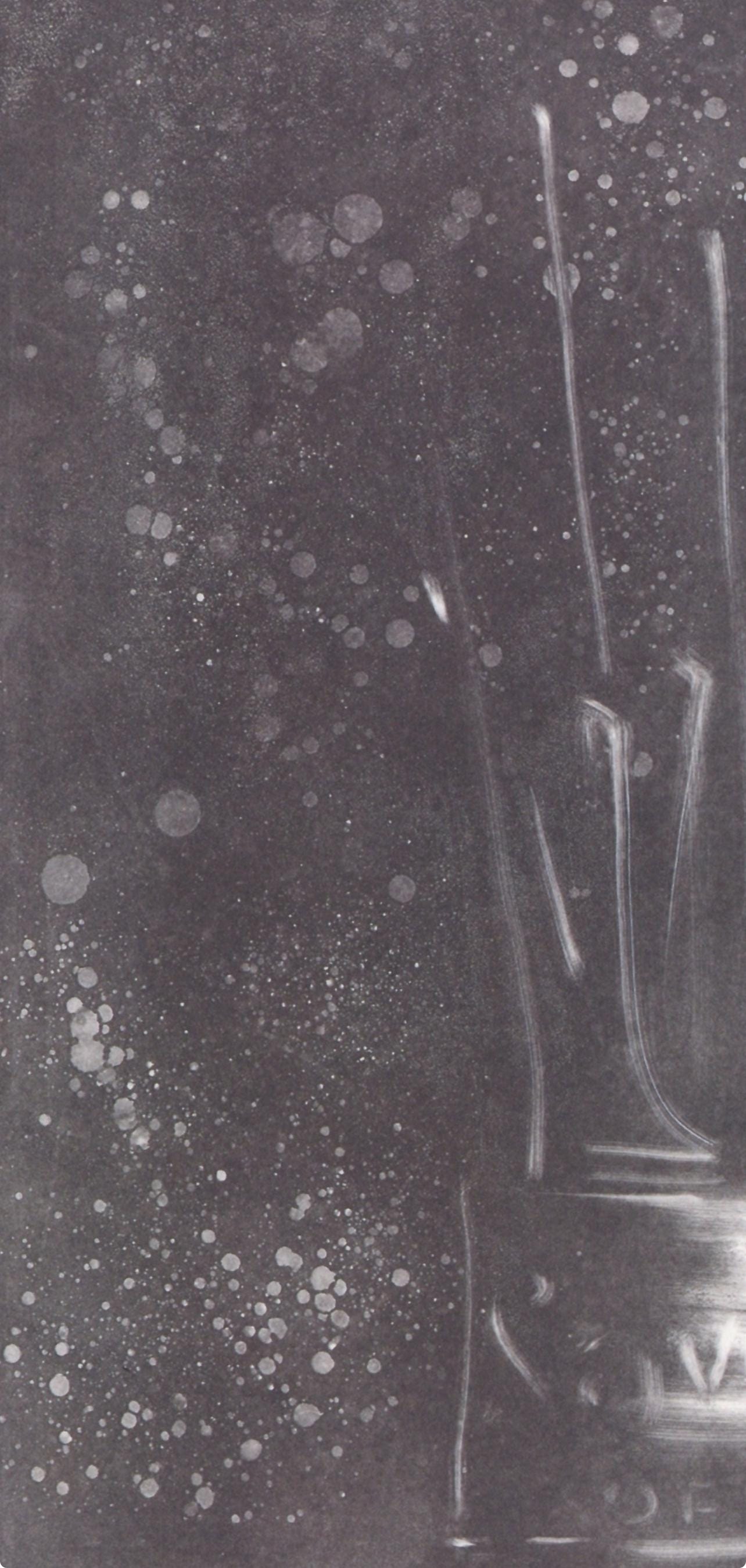 Jasper Johns, Composition, Jasper Johns, 17 Monotypes, Limited Edition Héliogravure