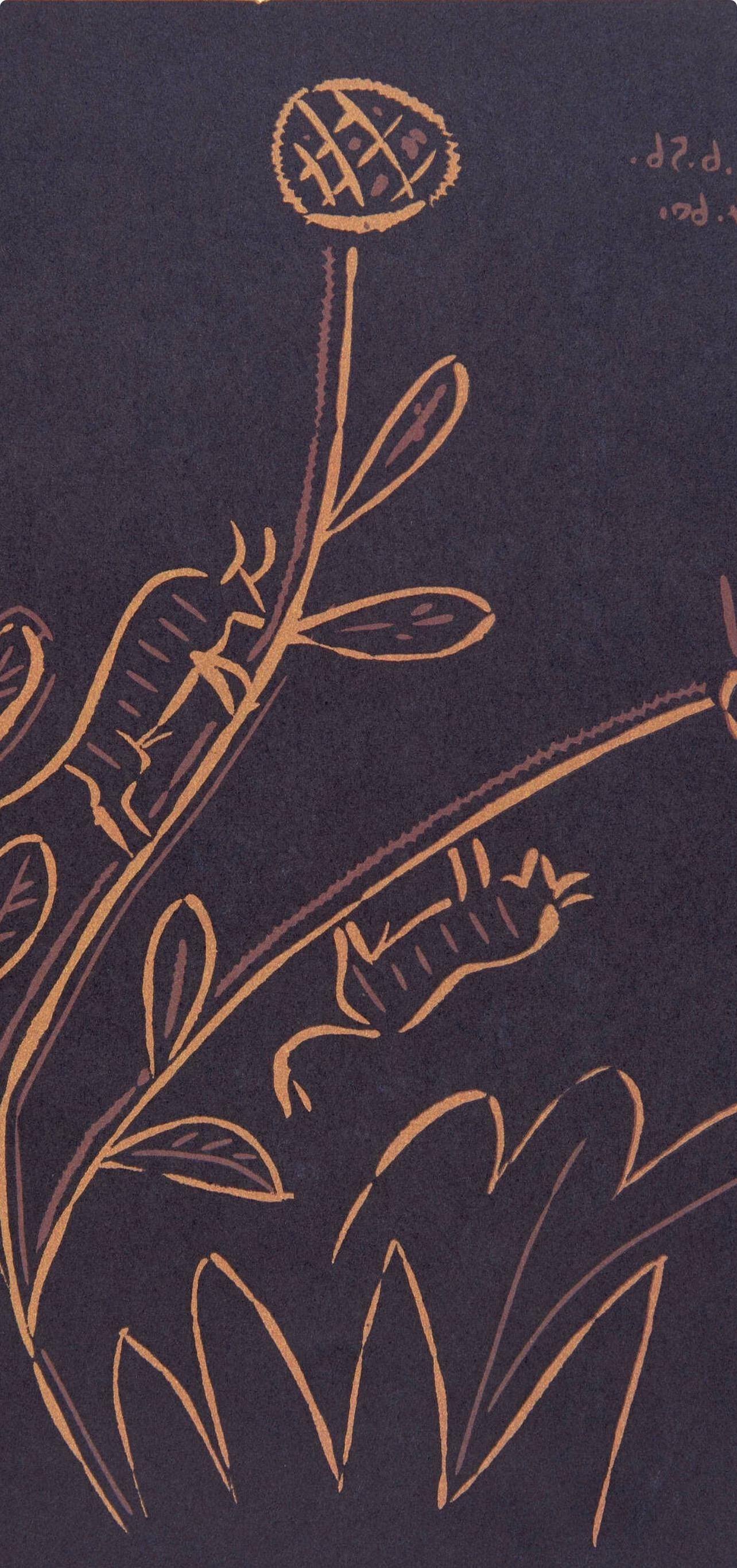 Pablo Picasso, Plant with Little Bulls (Orozco 214), Grabados al linóleo, Limited Edition Linocut