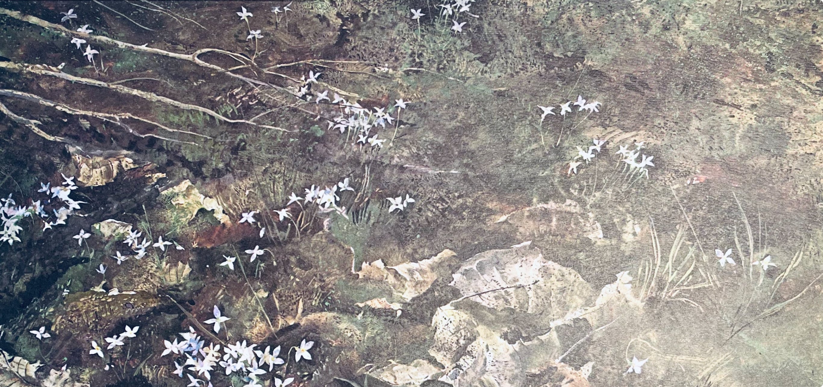 Andrew Wyeth, Quaker Ladies, The Four Seasons, Limited Edition Lithograph