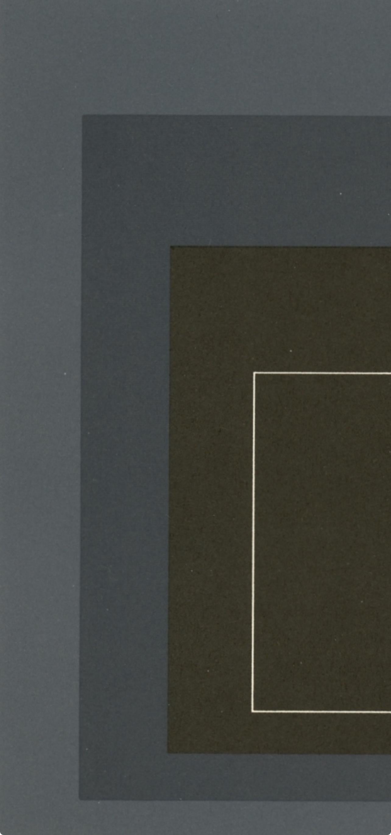 Josef Albers, Homage to the Square, Josef Albers: White Line Squares, Limited Edition Lithograph