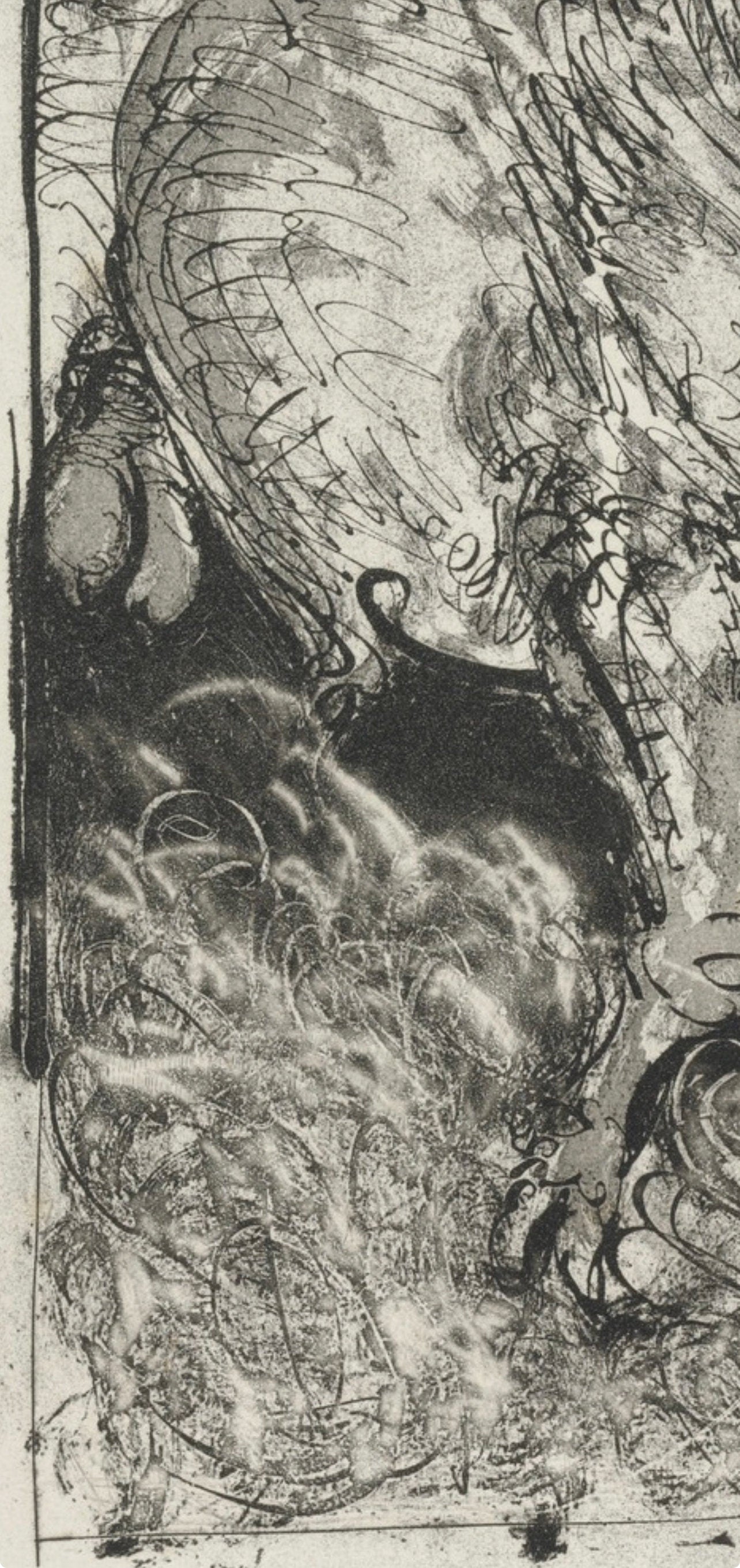 Pablo Picasso, Le Taureau, Histoire naturelle, Limited Edition Lithograph