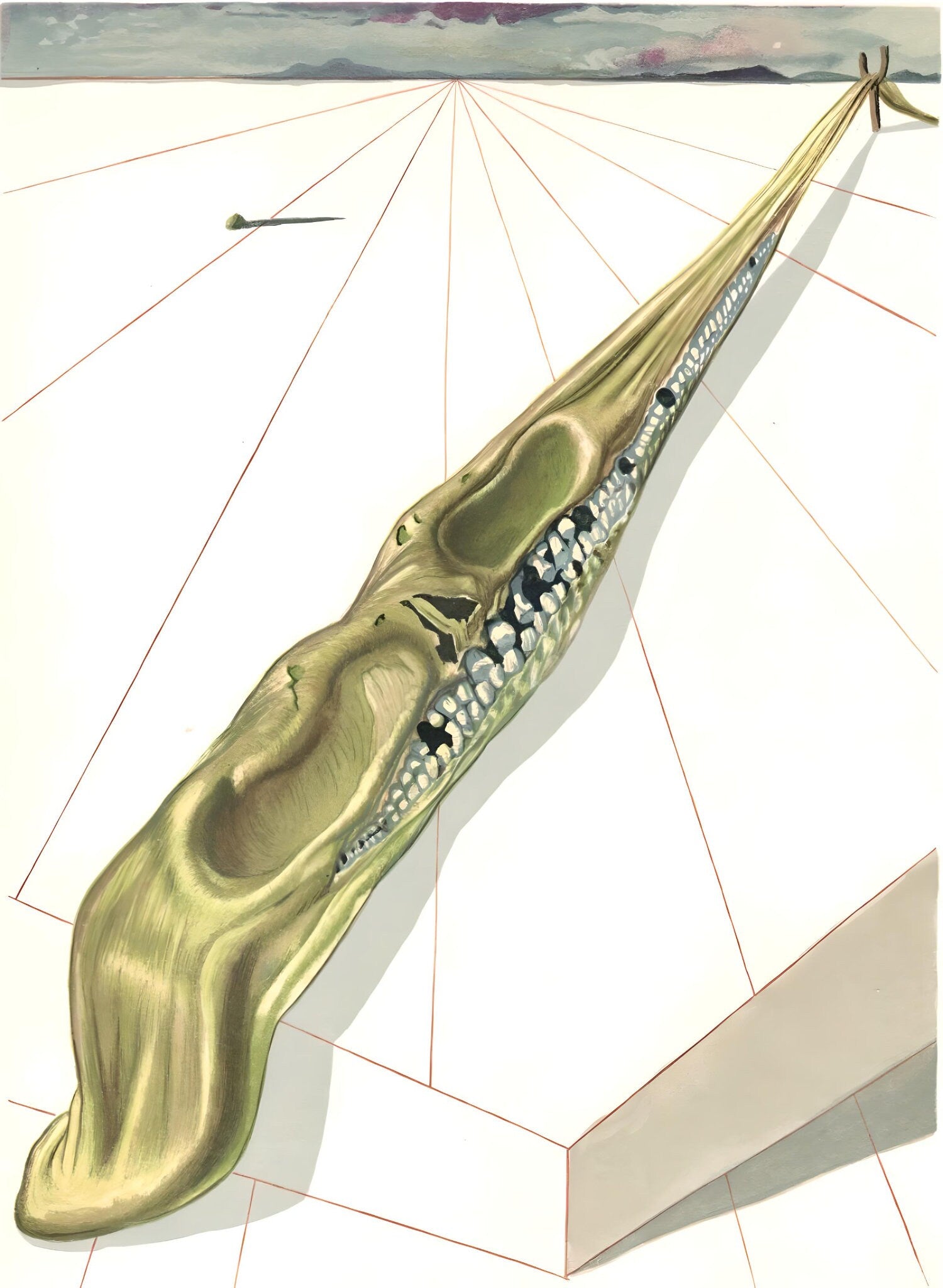Salvador Dali, The Blasphemers (Michler/Löpsinger 1039-1138; Field 189-200), La Divine Comédie, Limited Edition Woodcut
