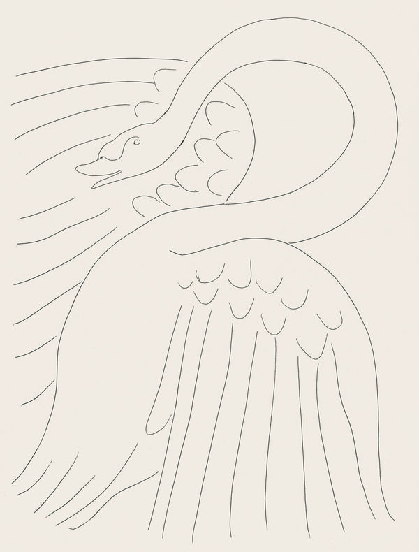 Henri Matisse, Le Cygne (The Swan), Poésies, Limited Edition Lithograph