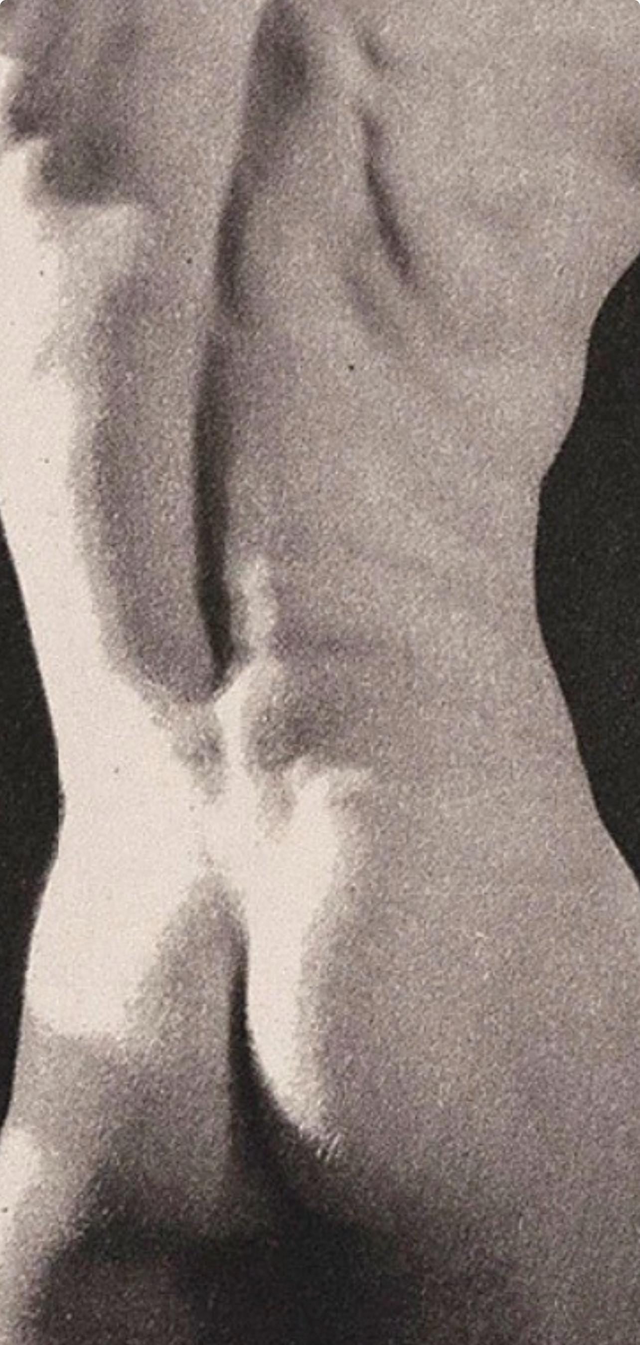 Robert Mapplethorpe, Composition, A Season in Hell, Limited Edition Photogravure