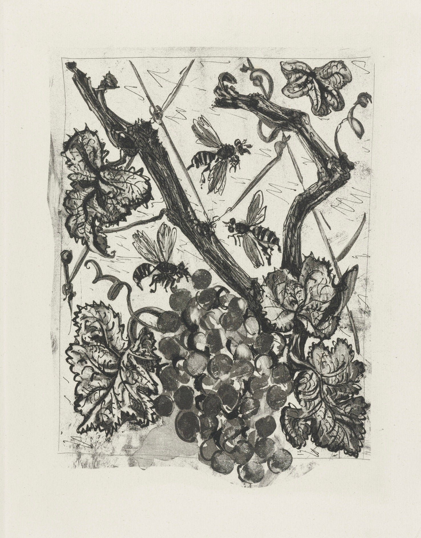 Pablo Picasso, La Guêpe, Histoire naturelle, Limited Edition Lithograph