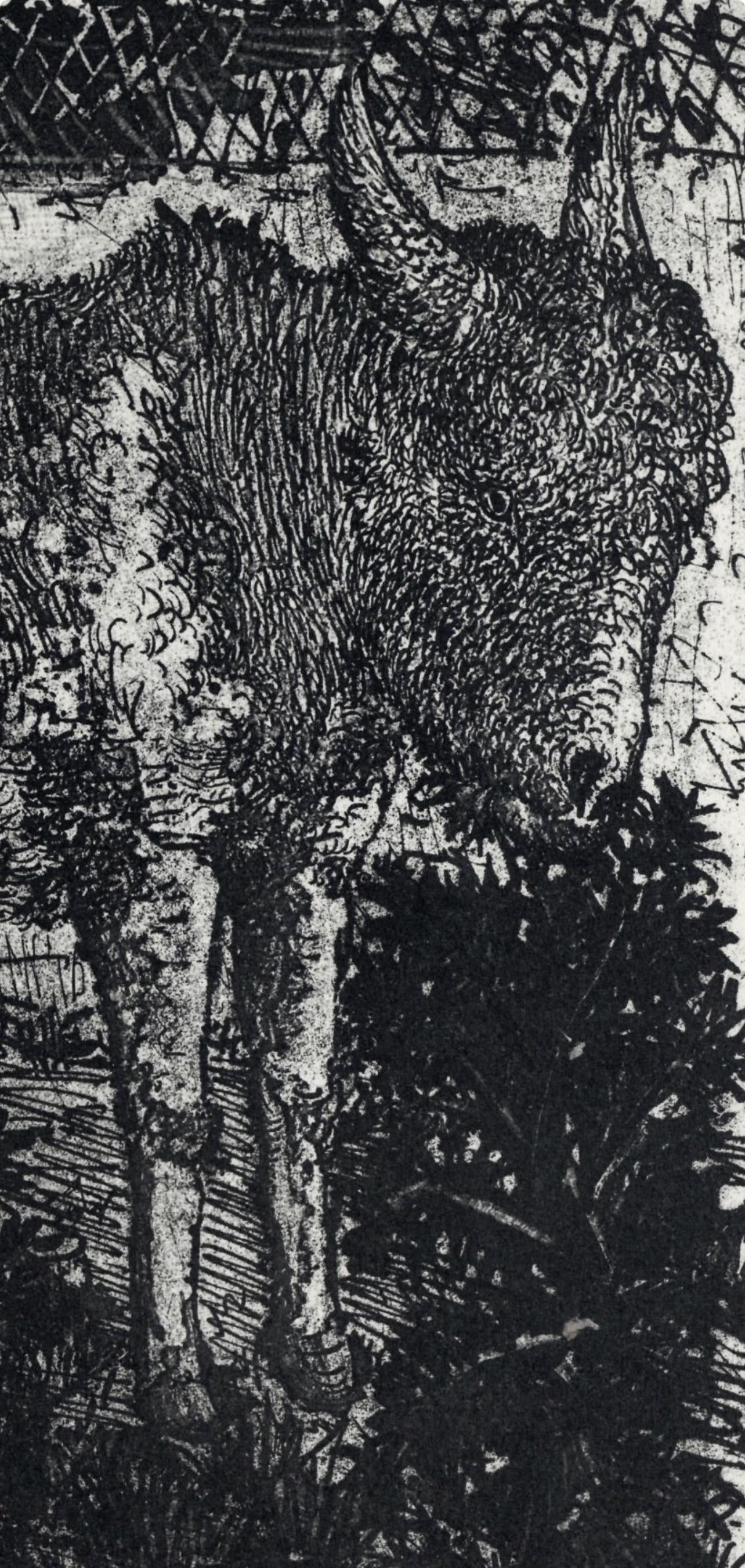 Pablo Picasso, Anes, sur une planche gravée (Cramer No. 84), 40 dessins de Picasso en marge du Buffon, Limited Edition Lithograph
