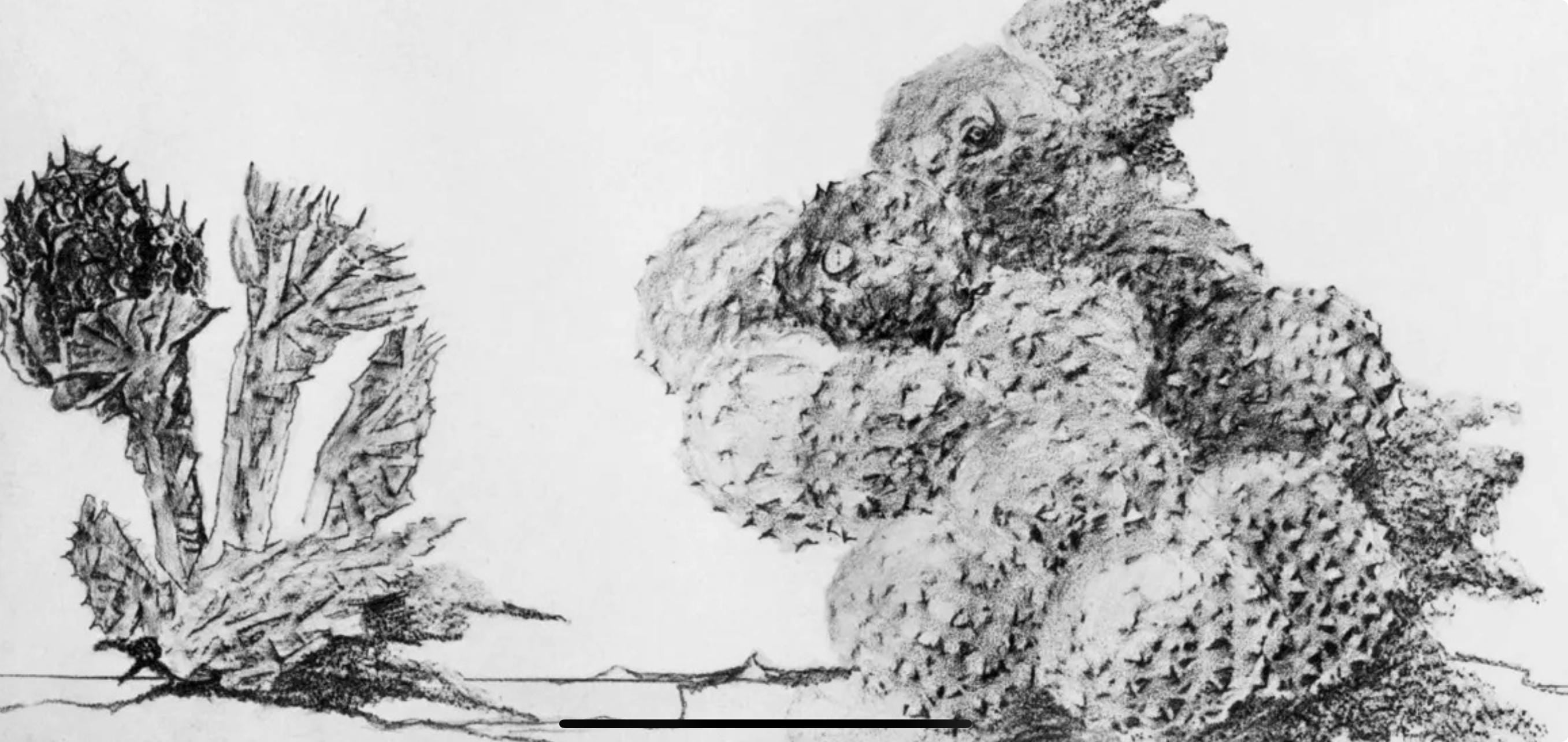 Max Ernst, Composition (Spies/Leppien 222), Histoire Naturelle, Limited Edition Lithograph
