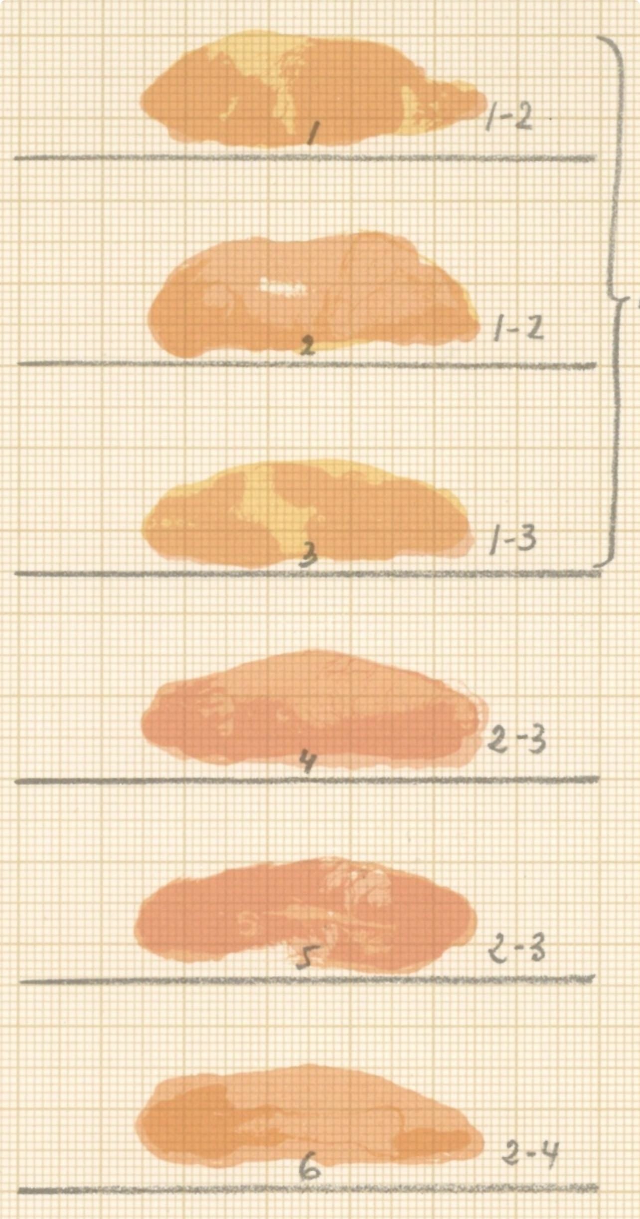 Joan Hernández-Pijuan, Composition, Ediciones Polígrafa, Redfern Gallery, Limited Edition Lithograph