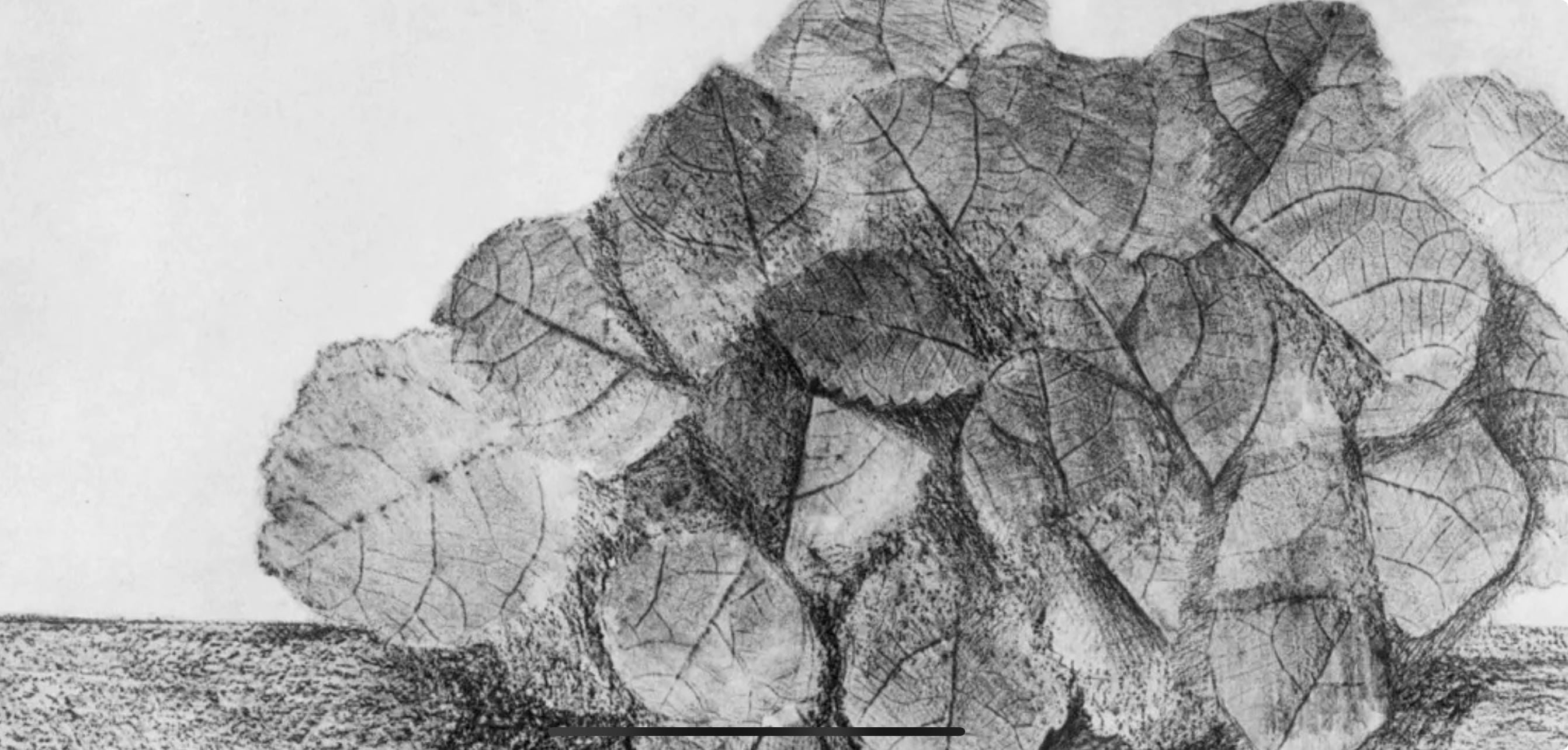Max Ernst, Composition (Spies/Leppien 222), Histoire Naturelle, Limited Edition Lithograph