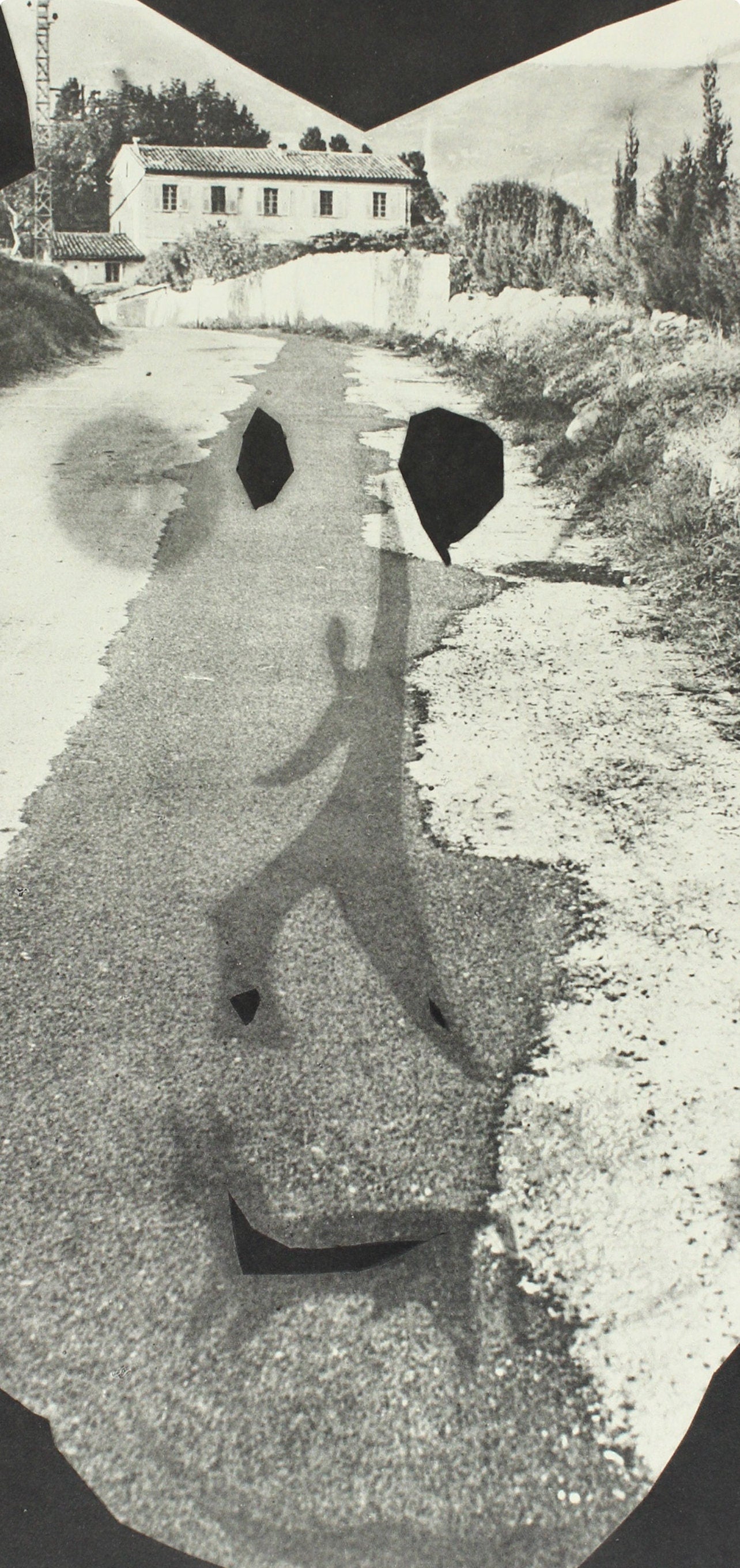 Pablo Picasso, Composition (Bloch 112; Kibbey 1466; Goeppert 115), Diurnes Découpages et Photographies, Limited Edition Phototype