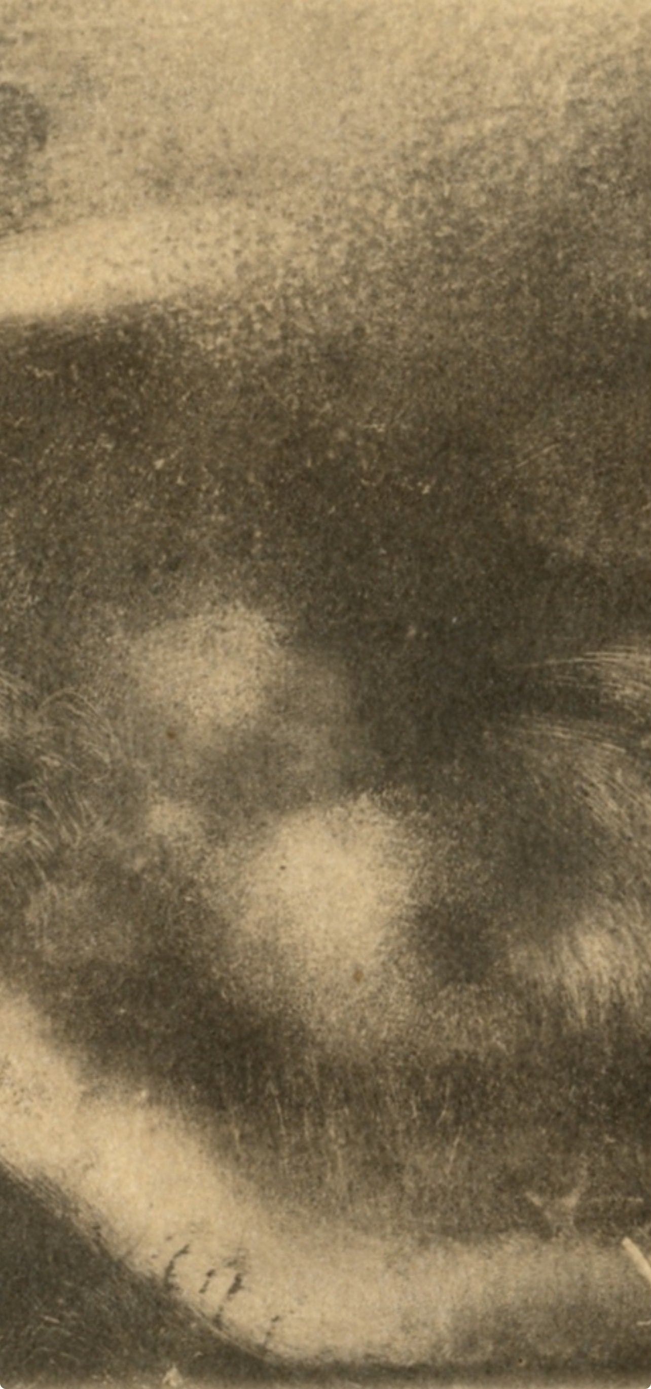 Edgar Degas, Nu couche, E. Degas Monotypes, Limited Edition Monotype