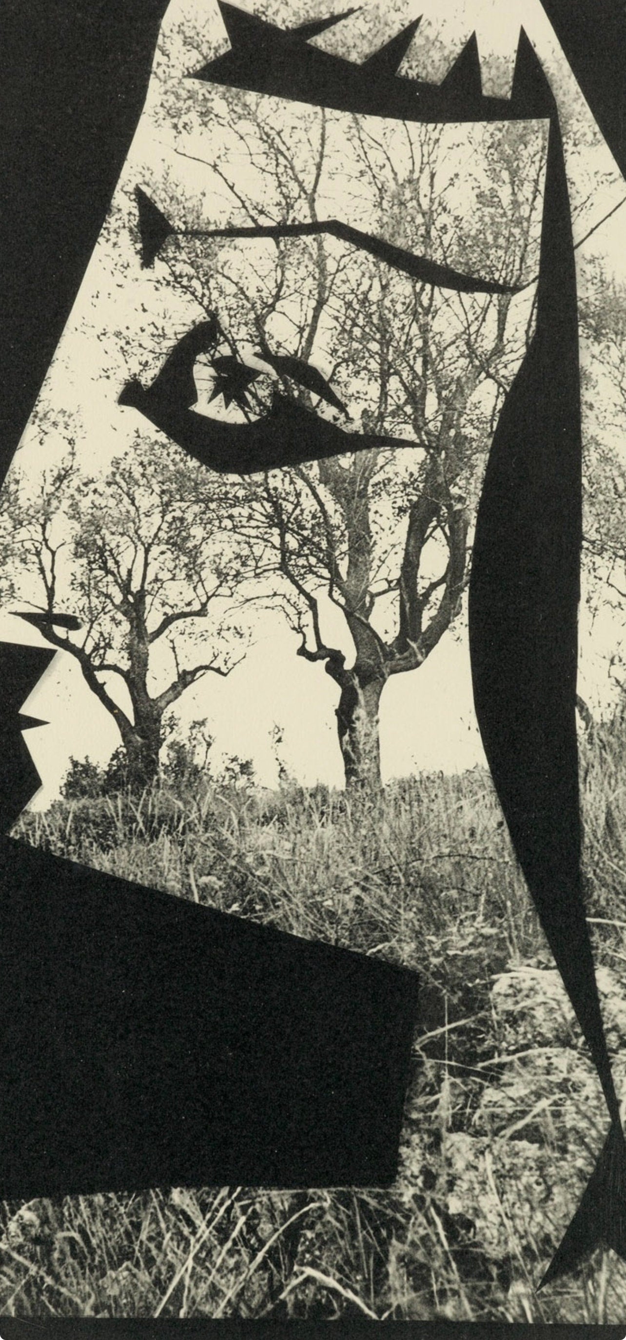 Pablo Picasso, Composition (Bloch 112; Kibbey 1466; Goeppert 115), Diurnes Découpages et Photographies, Limited Edition Phototype