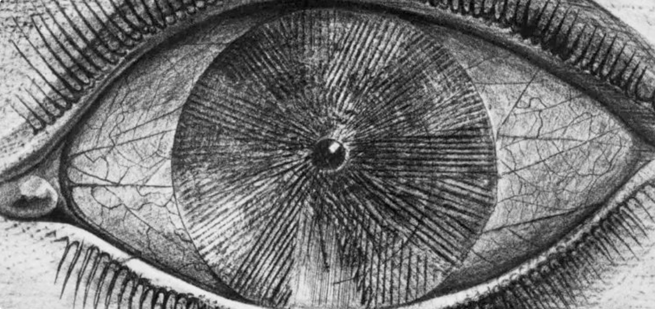 Max Ernst, Composition (Spies/Leppien 222), Histoire Naturelle, Limited Edition Lithograph