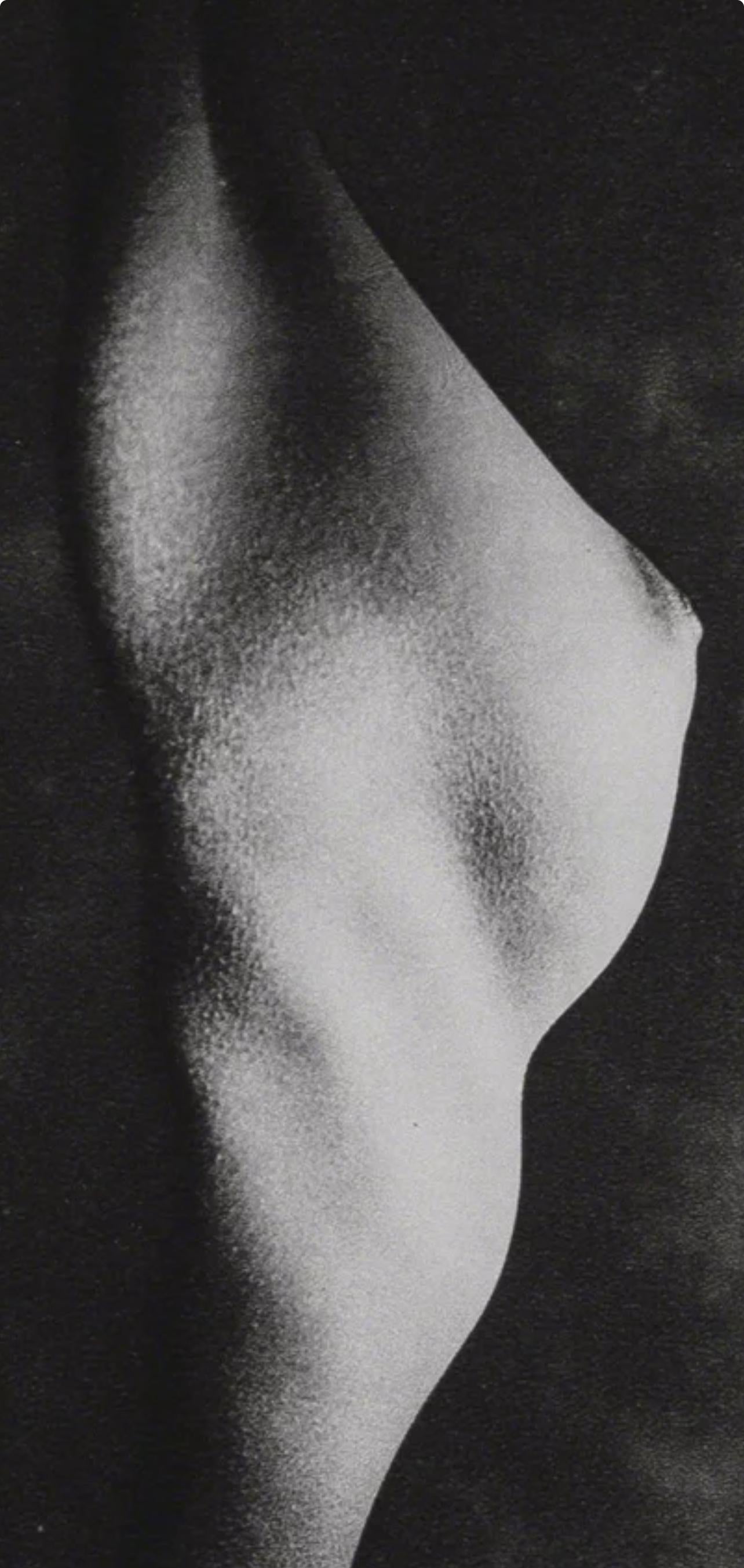 Erwin Blumenfeld, Composition, Erwin Blumenfeld, Electa Editrice Portfolios, Limited Edition Héliogravure
