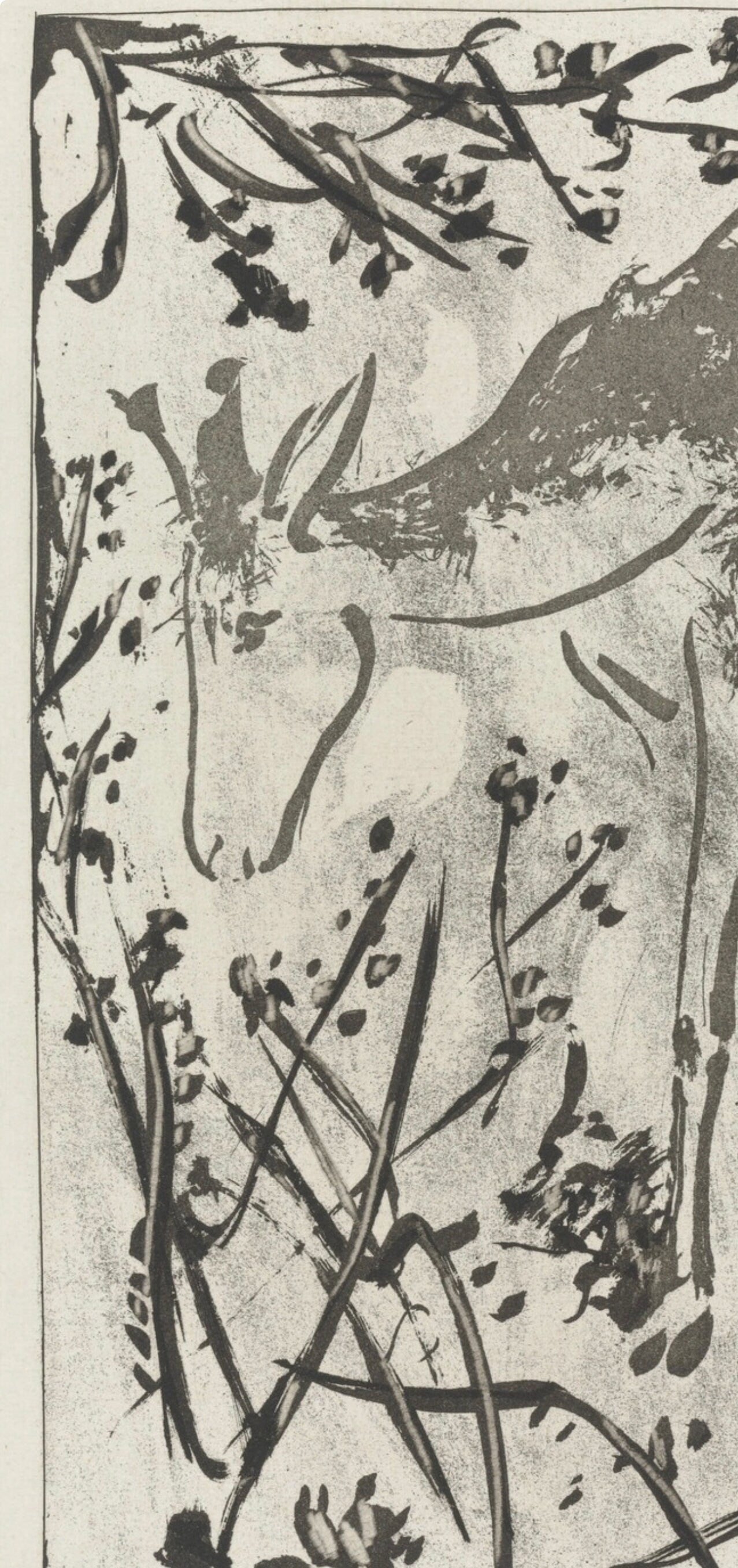 Pablo Picasso, Le Cerf, Histoire naturelle, Limited Edition Lithograph