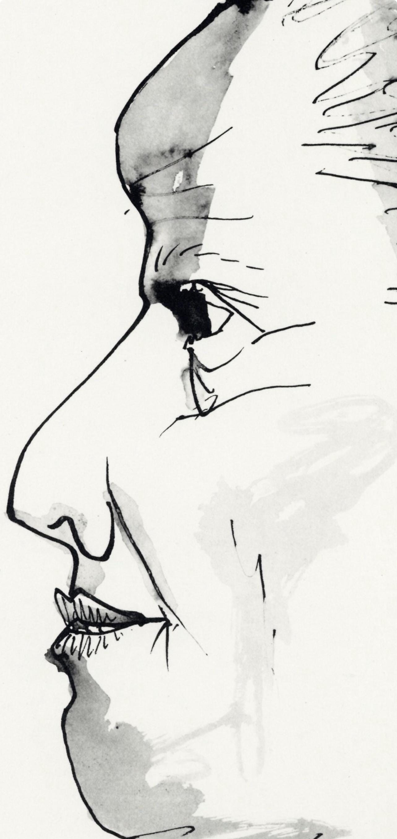 Pablo Picasso, Profil de vieille femme, trait et lavis (Cramer No. 84), 40 dessins de Picasso en marge du Buffon, Limited Edition Lithograph