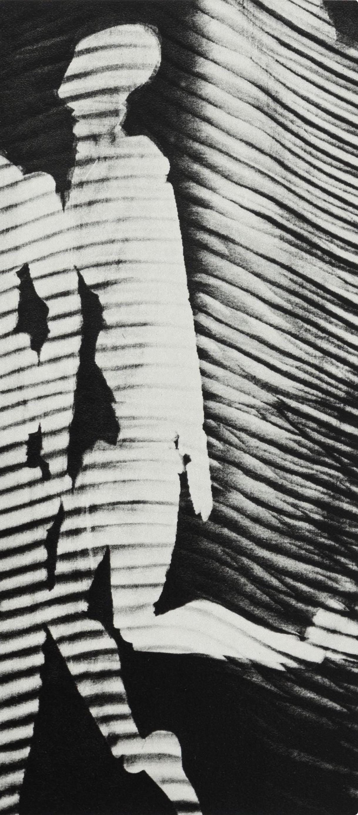 Man Ray, Composition, Man Ray, Electa Editrice Portfolios, Limited Edition Héliogravure