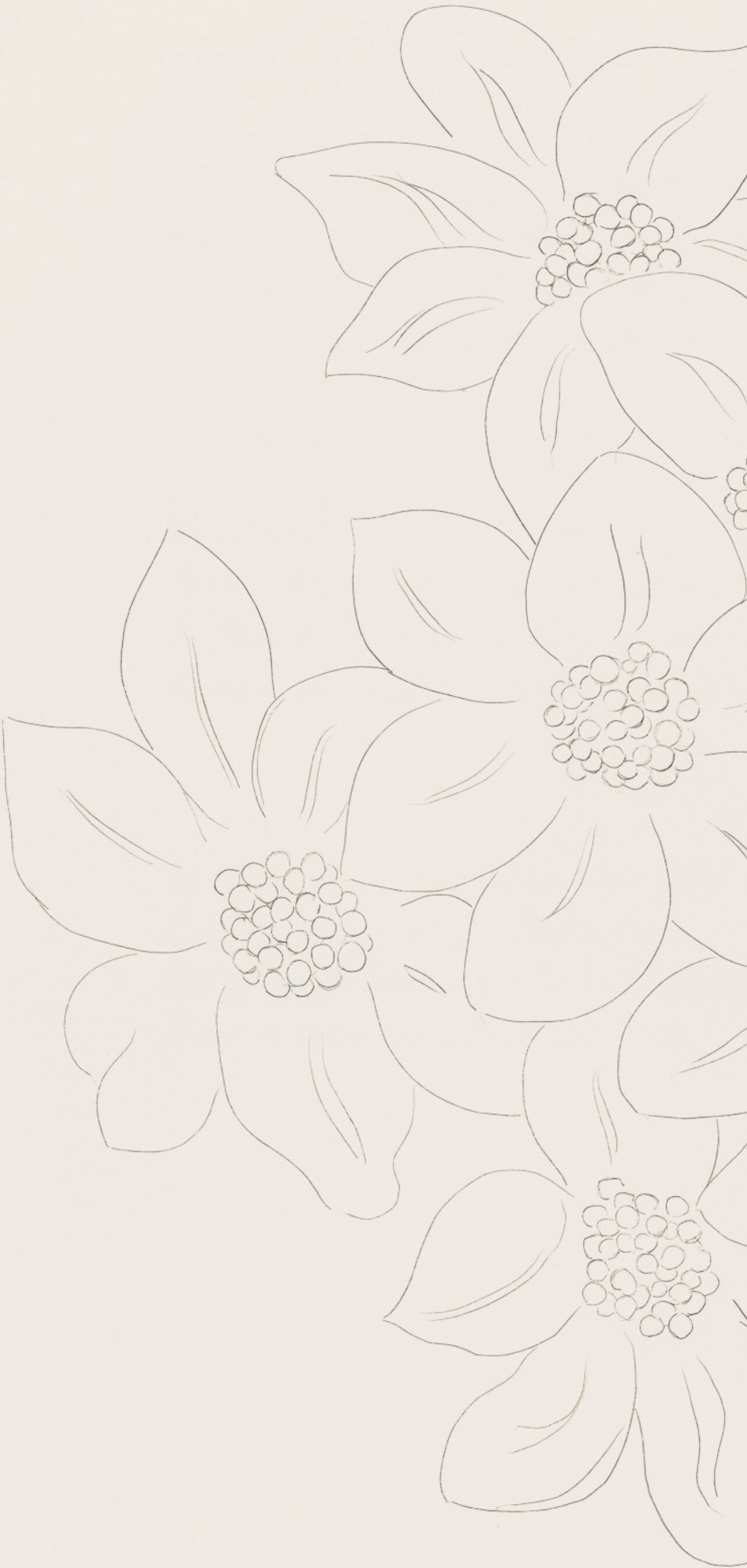 Henri Matisse, Les Fleurs (Flowers), Poésies, Limited Edition Lithograph