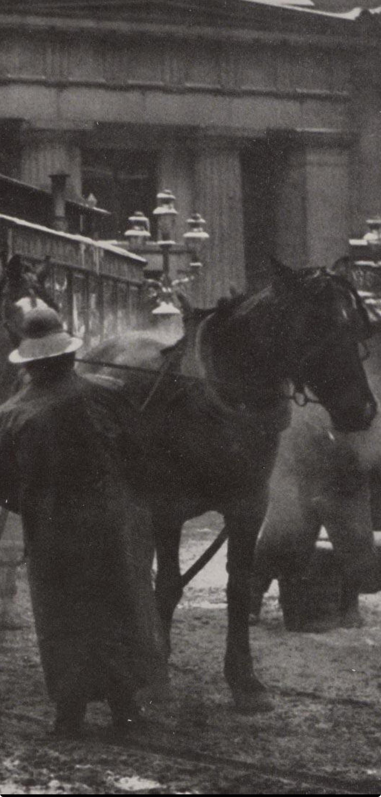 Alfred Stieglitz, The Terminal, Alfred Stieglitz Memorial Portfolio 1864-1946, Limited Edition Halftone Photograph