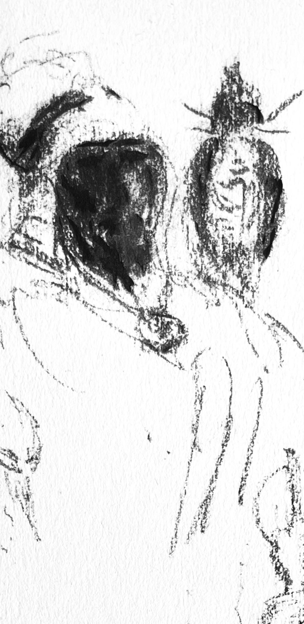 Henri de Toulouse-Lautrec, Composition, Toulouse-Lautrec, Album De Marine, Limited Edition Lithograph