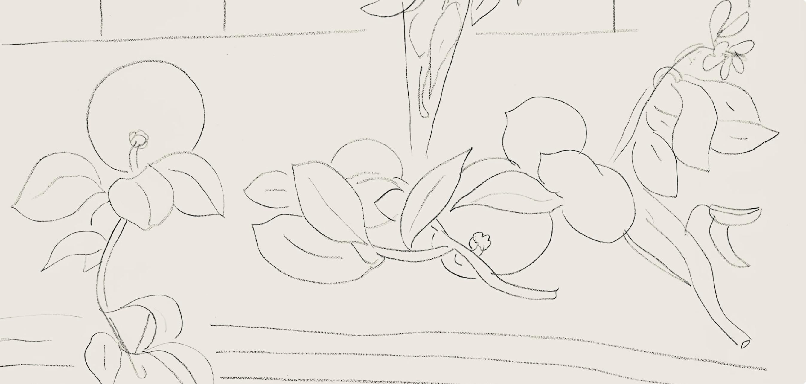 Henri Matisse, Série M, var. 7 (Duthuit 9), Henri Matisse, Dessins, Thèmes et variations, Limited Edition Lithograph