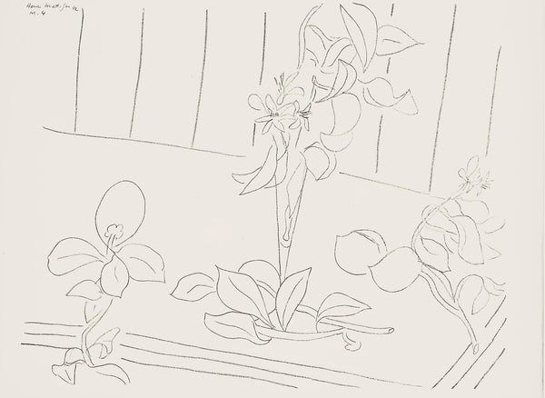 Henri Matisse, Série M, var. 4 (Duthuit 9), Henri Matisse, Dessins, Thèmes et variations, Limited Edition Lithograph