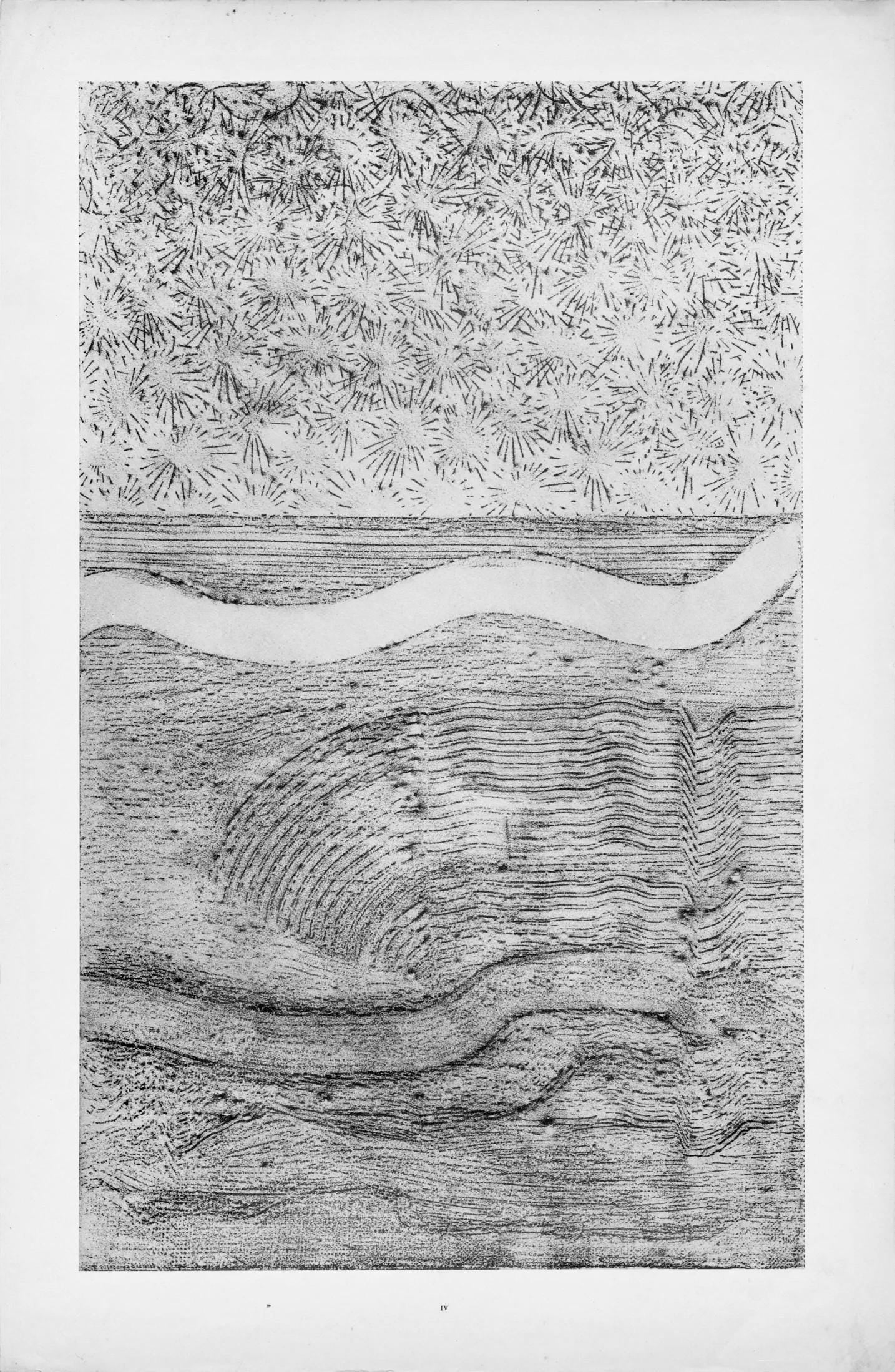 Max Ernst, Composition (Spies/Leppien 222), Histoire Naturelle, Limited Edition Lithograph