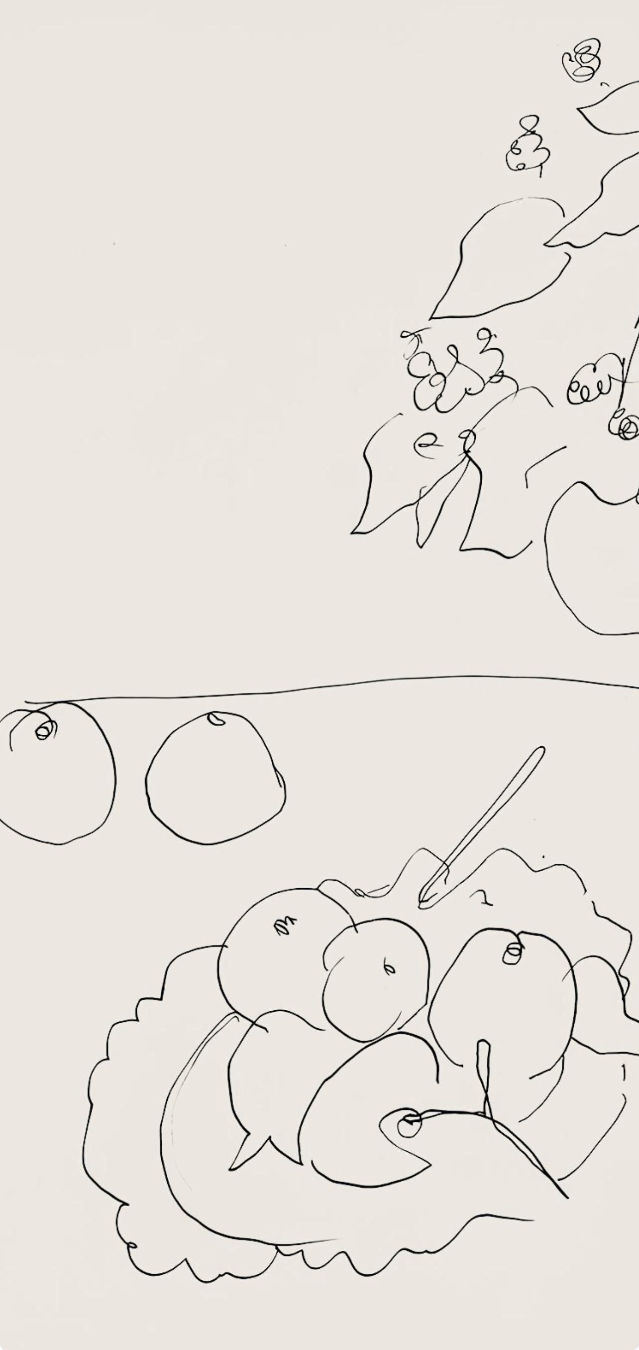 Henri Matisse, Série A, var. 3 (Duthuit 9), Henri Matisse, Dessins, Thèmes et variations, Limited Edition Lithograph