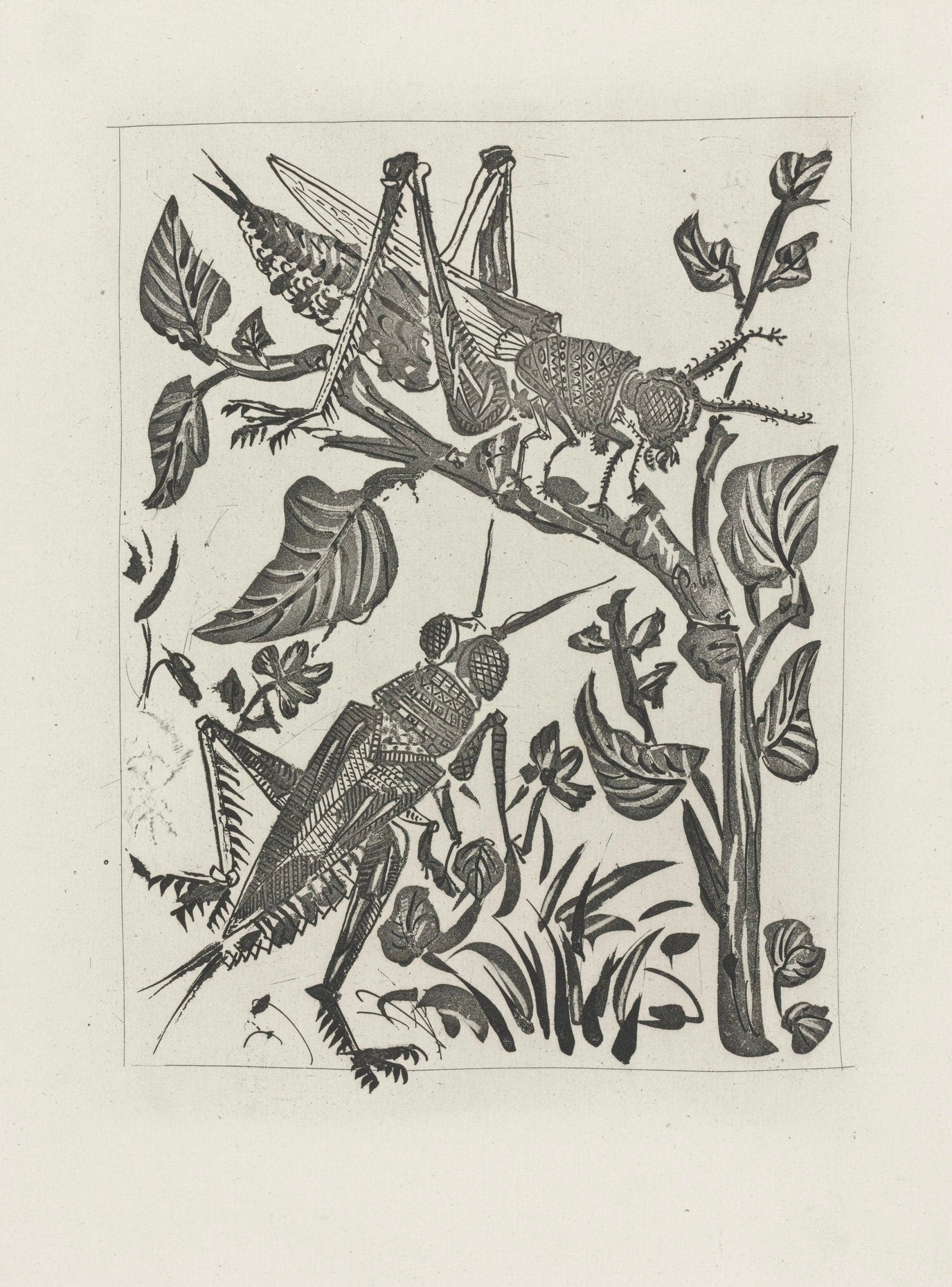 Pablo Picasso, La Sauterelle, Histoire naturelle, Limited Edition Lithograph