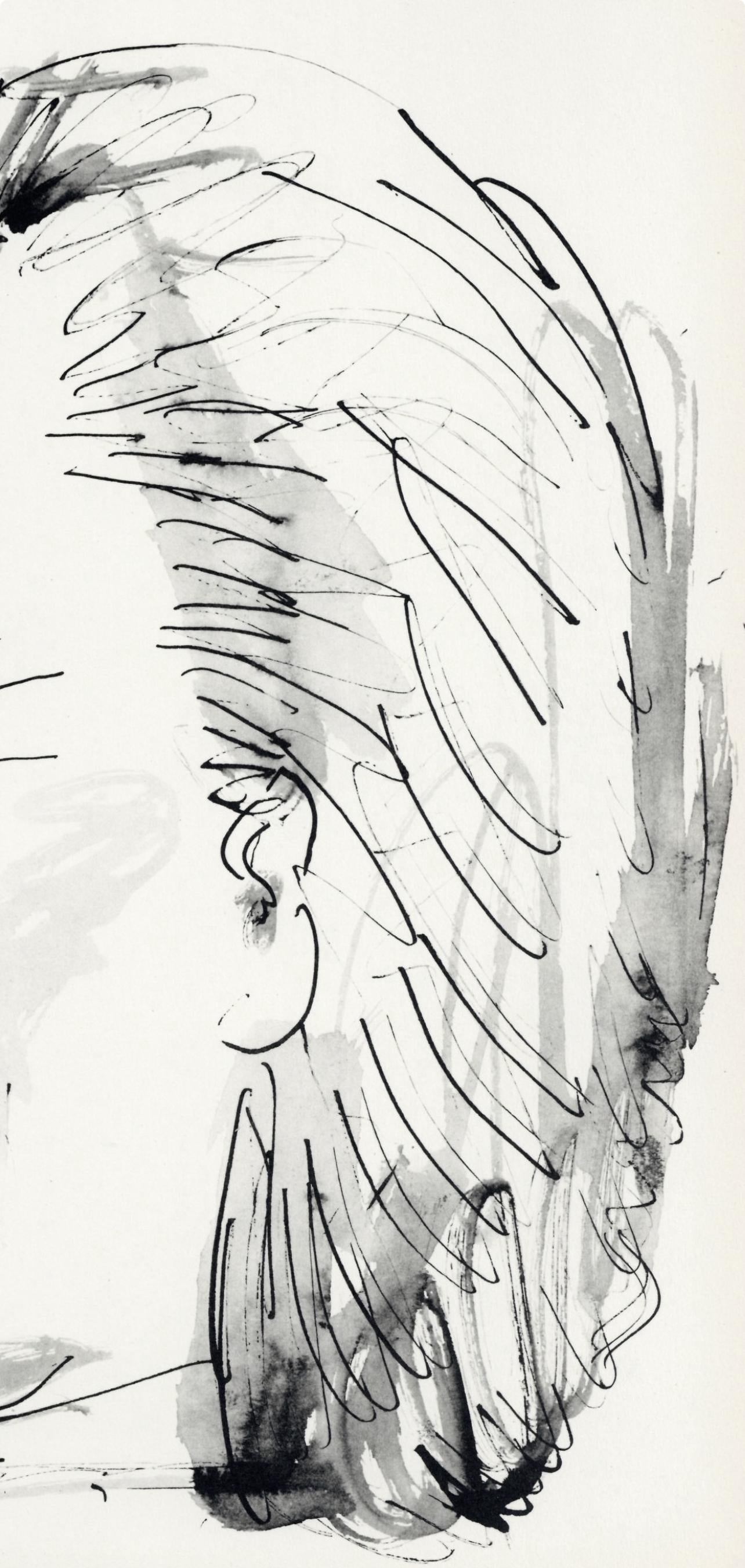 Pablo Picasso, Profil de vieille femme, trait et lavis (Cramer No. 84), 40 dessins de Picasso en marge du Buffon, Limited Edition Lithograph