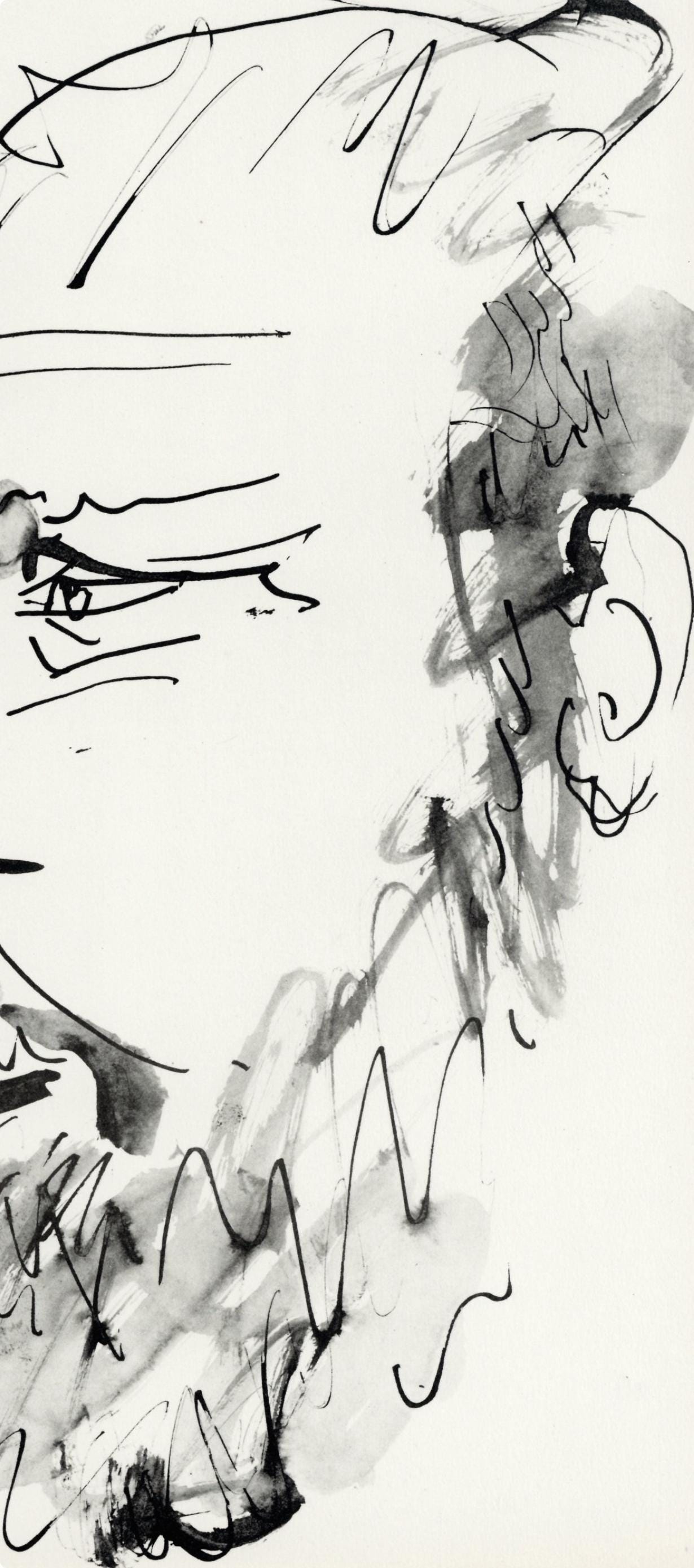 Pablo Picasso, Profil gauche de vieil homme (Cramer No. 84), 40 dessins de Picasso en marge du Buffon, Limited Edition Lithograph