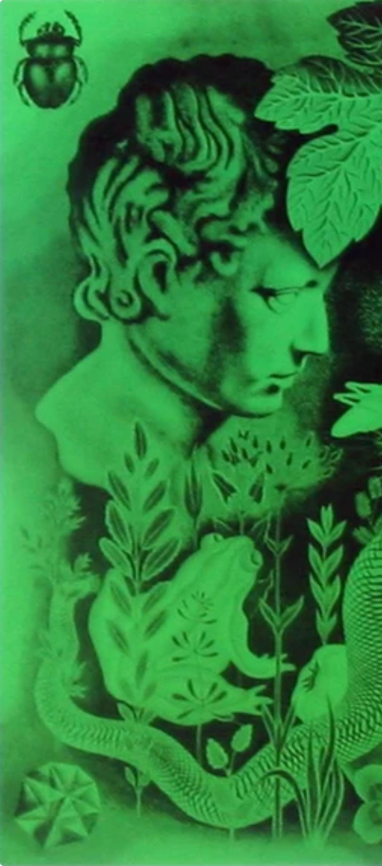 Victor Vasarely, Composition, Graphismes II, Limited Edition Héliogravure